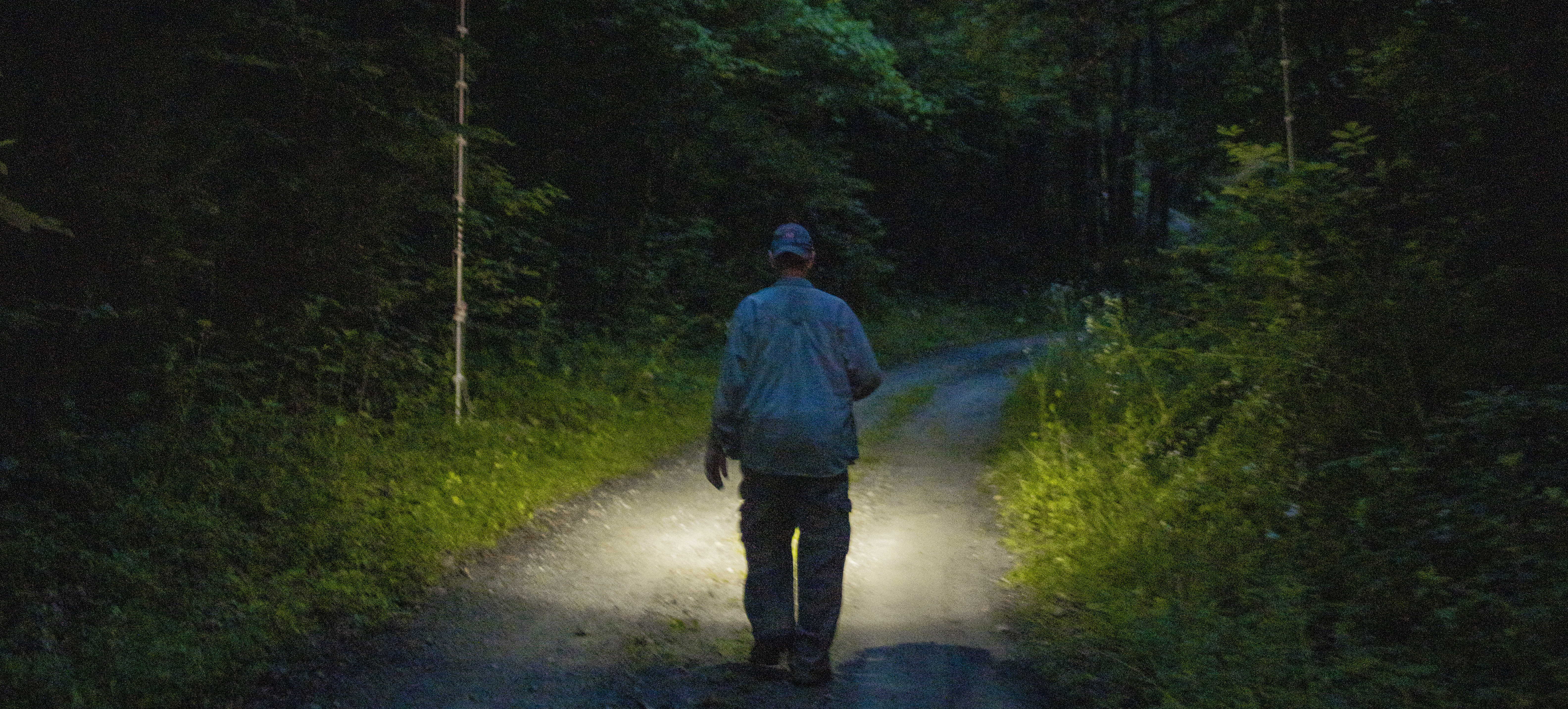 man walking down forest road in the dark with flashlight
