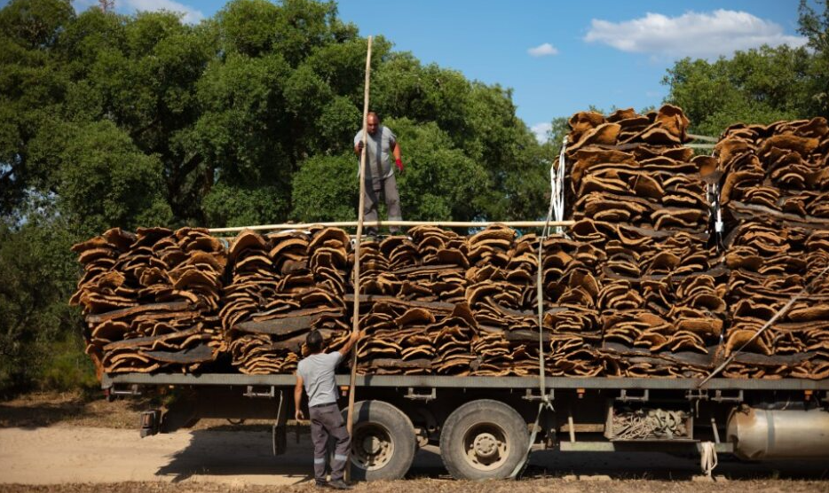 truck of harvested cork with two workers