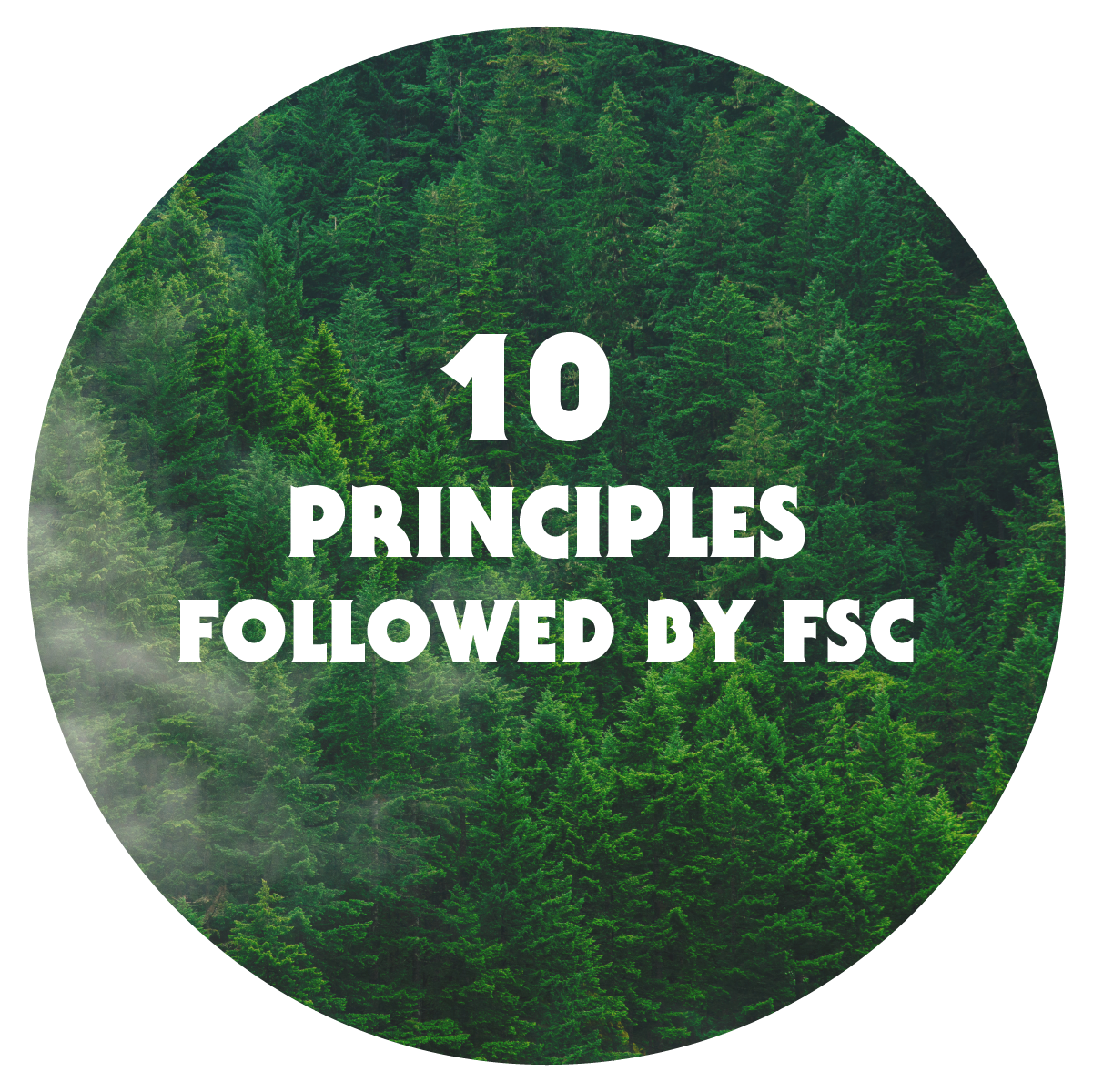 10 principles followed by fsc