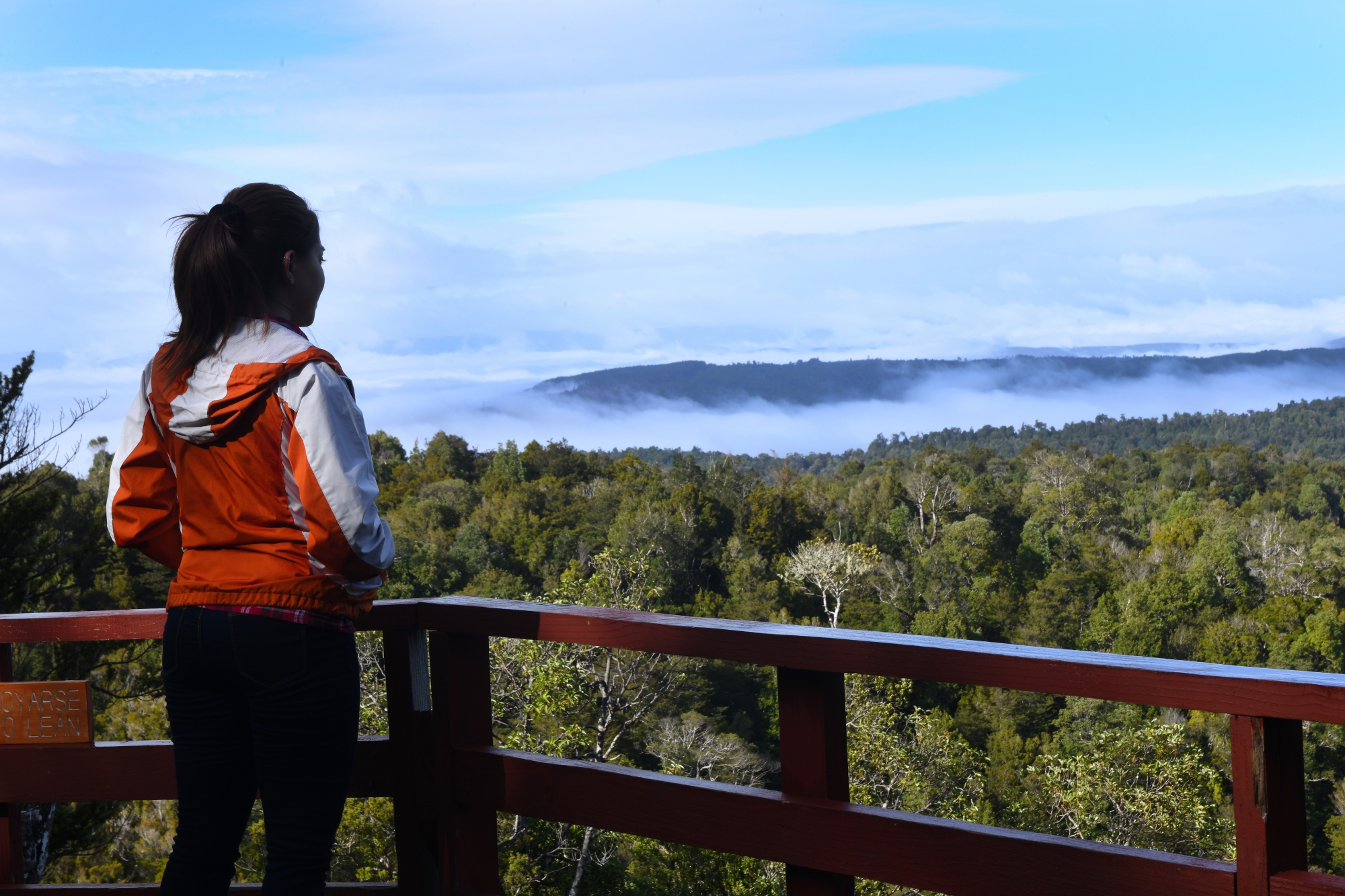 © Arauco Forestal S. A. 