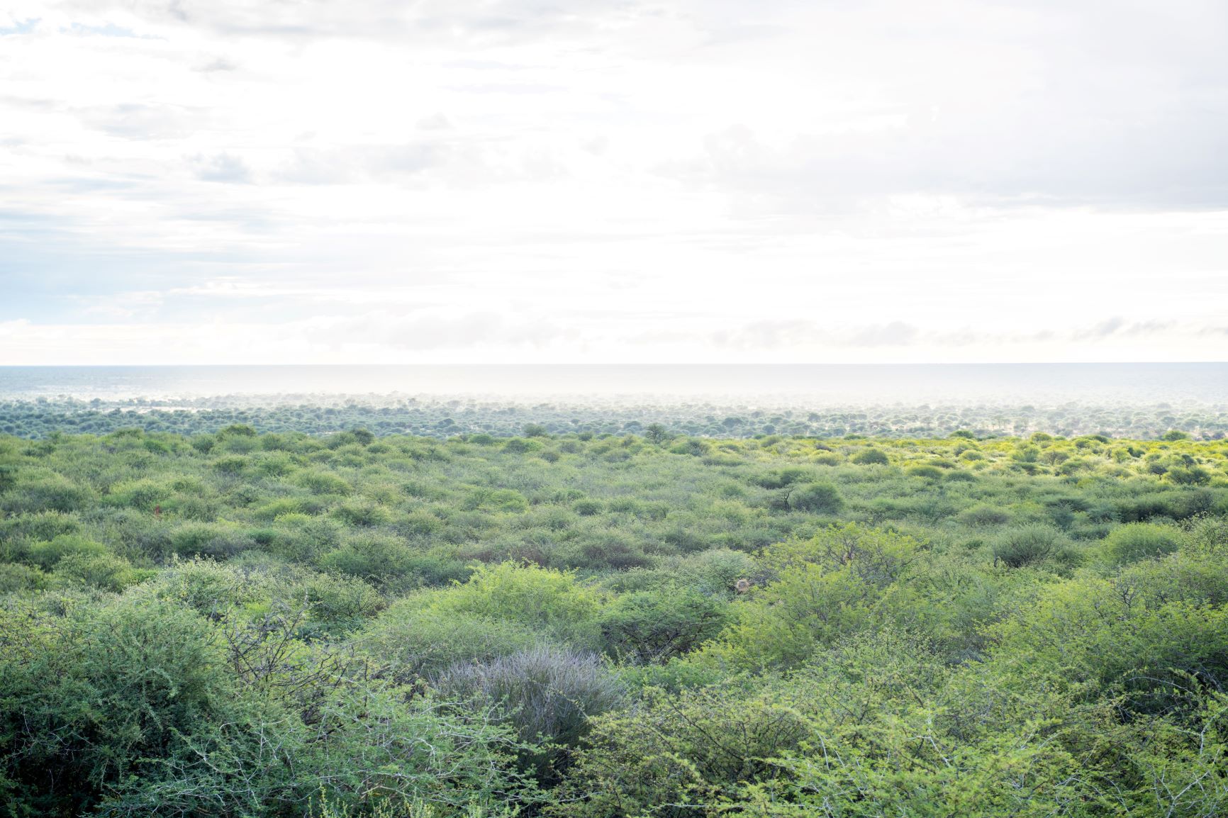 Namibian landscape