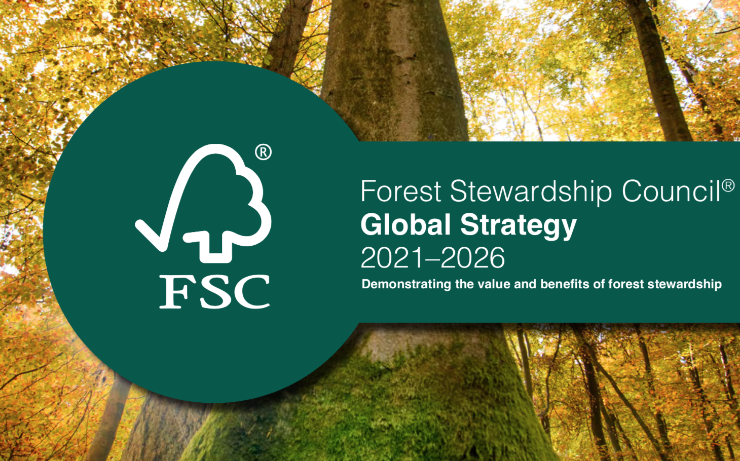 tree behind the text forest stewardship council global strategy 2021-2026