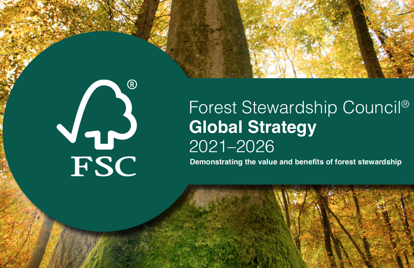 text showing forest stewardship council global strategy in front of a tree trunk