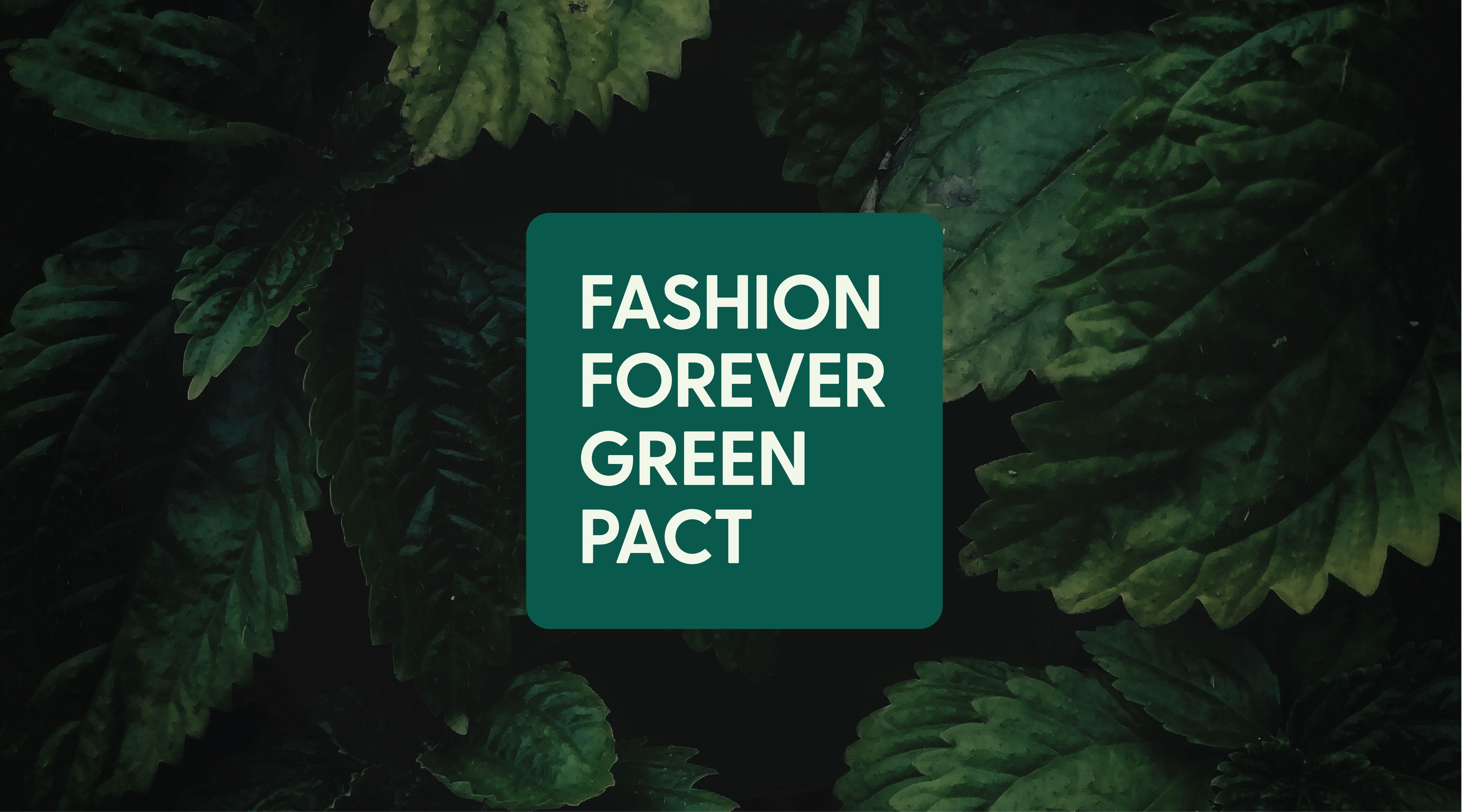 Fashion Forever Green Pact” launched to promote responsible sourcing of  renewable fibre among global brands