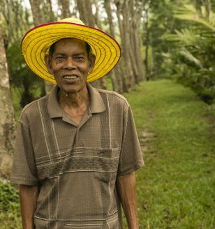 Thai man in hat stands in tree plantation