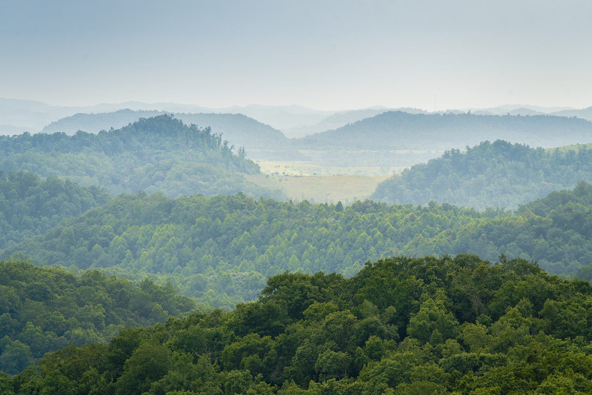 wide angle view of forested mountains in kentucky