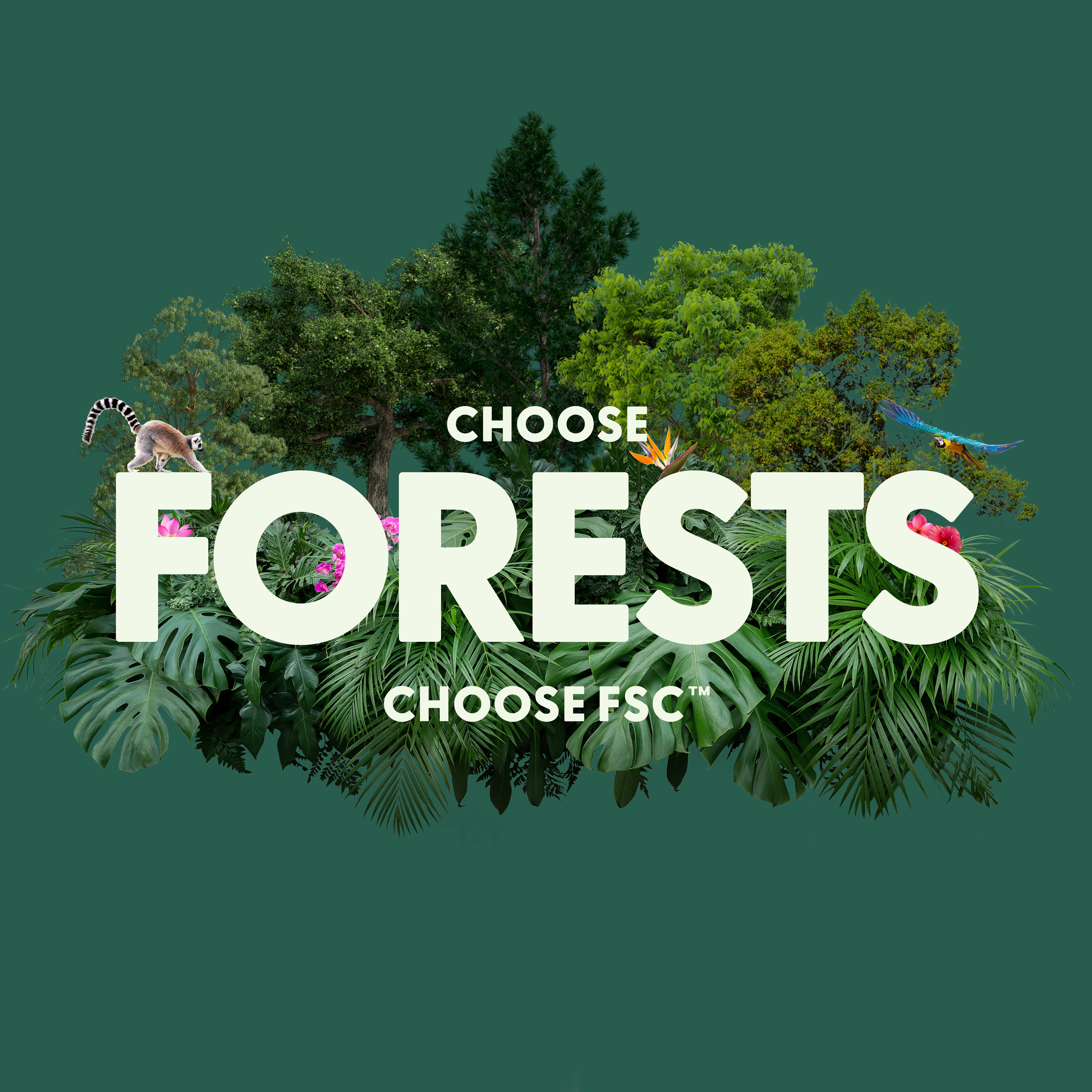 FSC Forest Week Official Logo