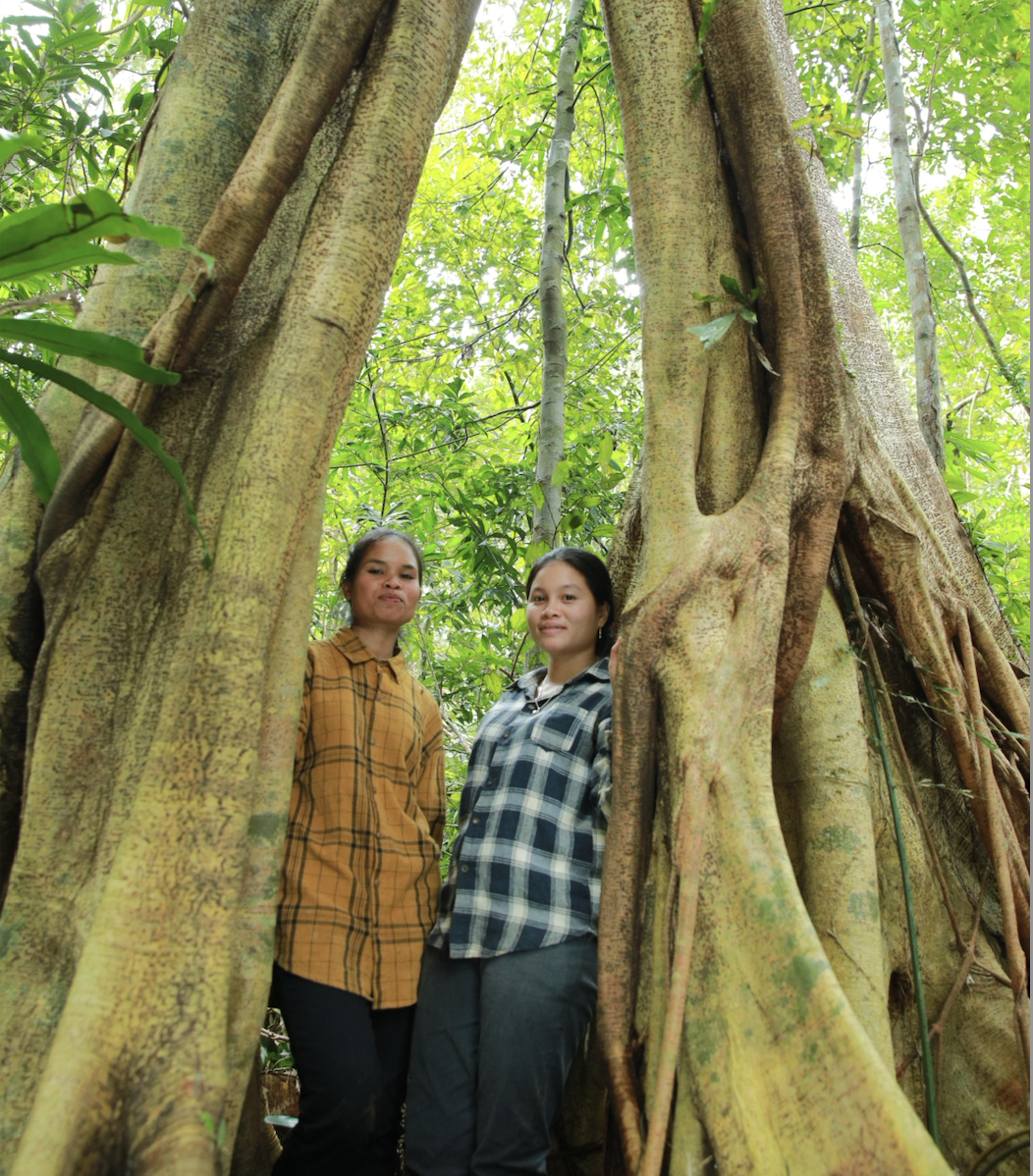 two Vietnamese women stand between tall trees in forest
