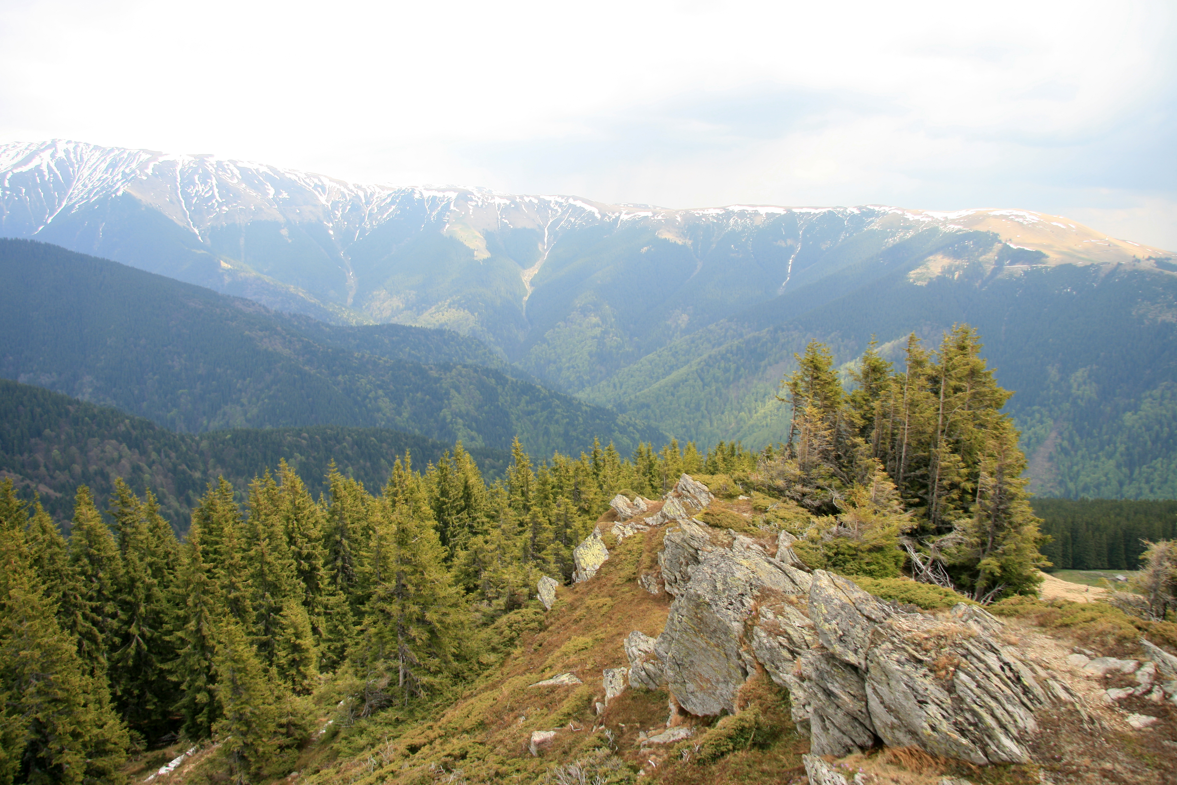 Romania landscape