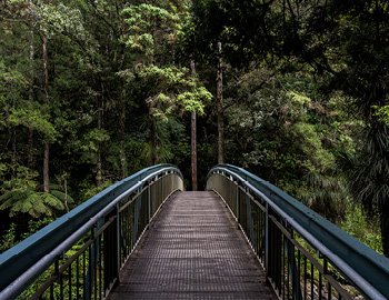 Flagship publication bridge