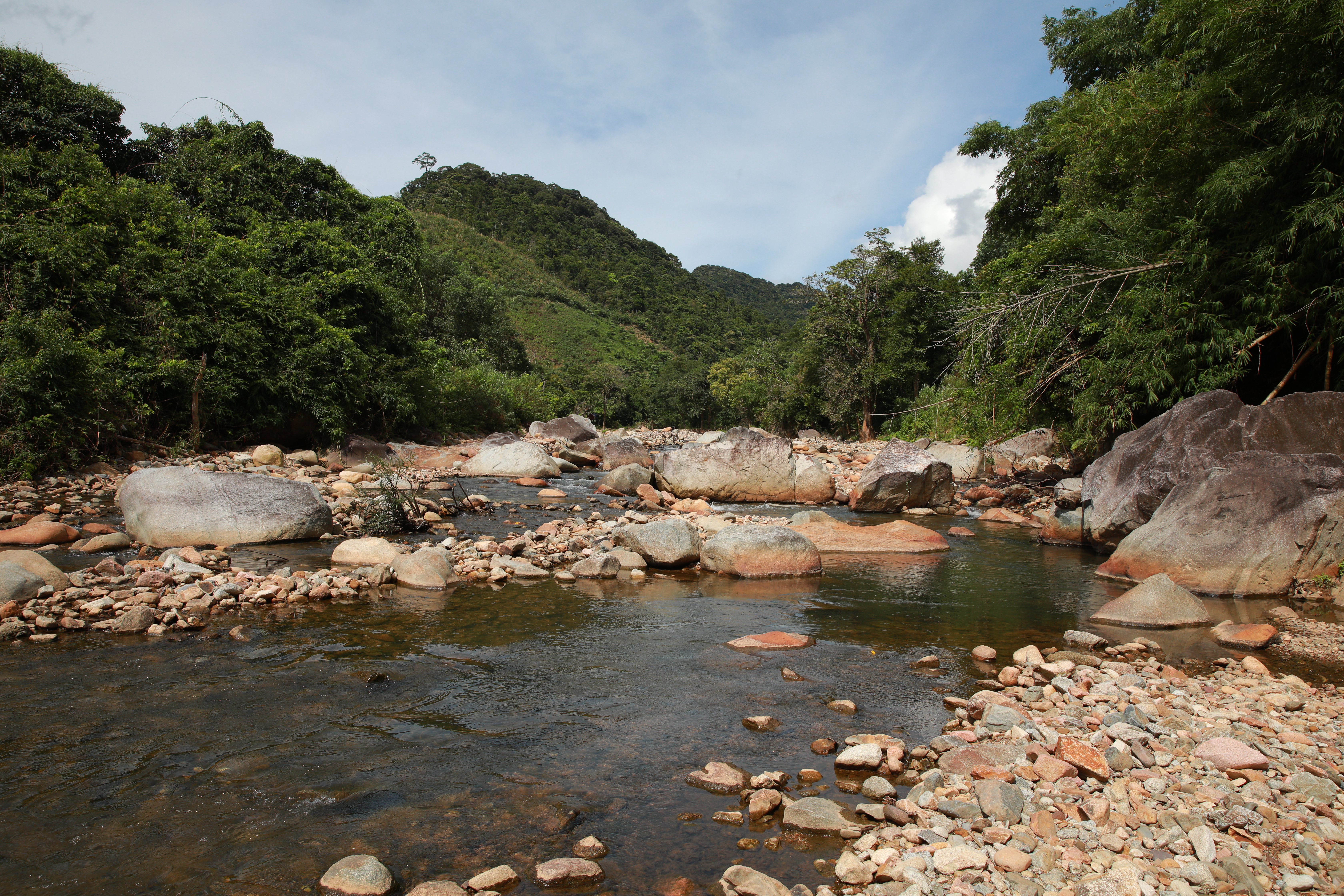 stream and forests in Viet Nam