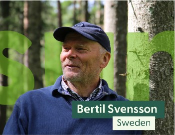Bertil