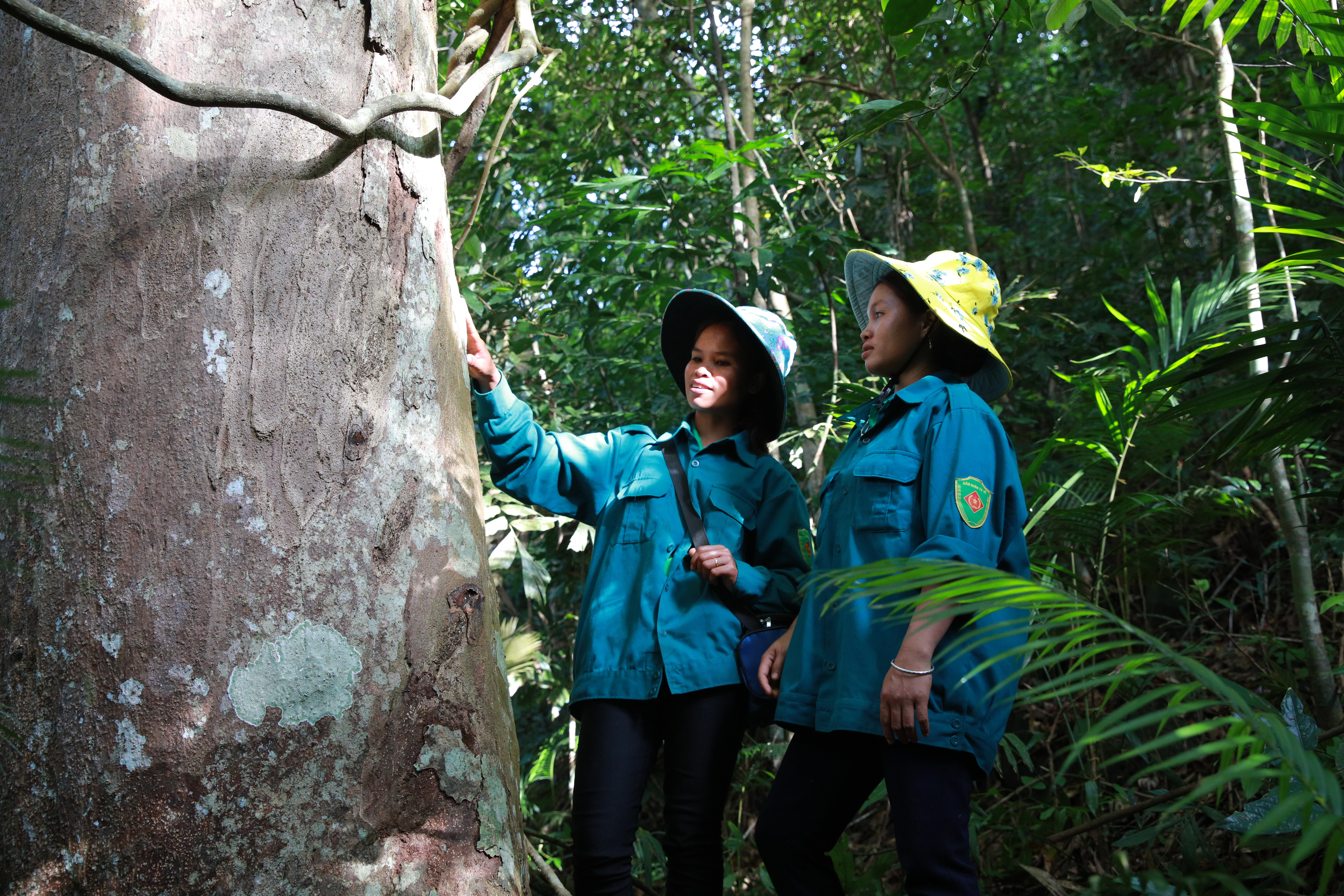 Vietnam_community forests