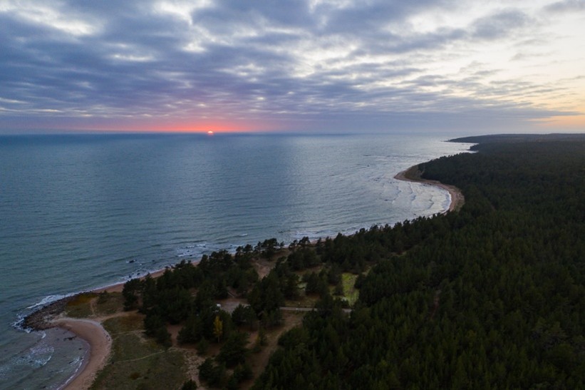 Forest and seascape on Hiiumaa Island, Estonia 
