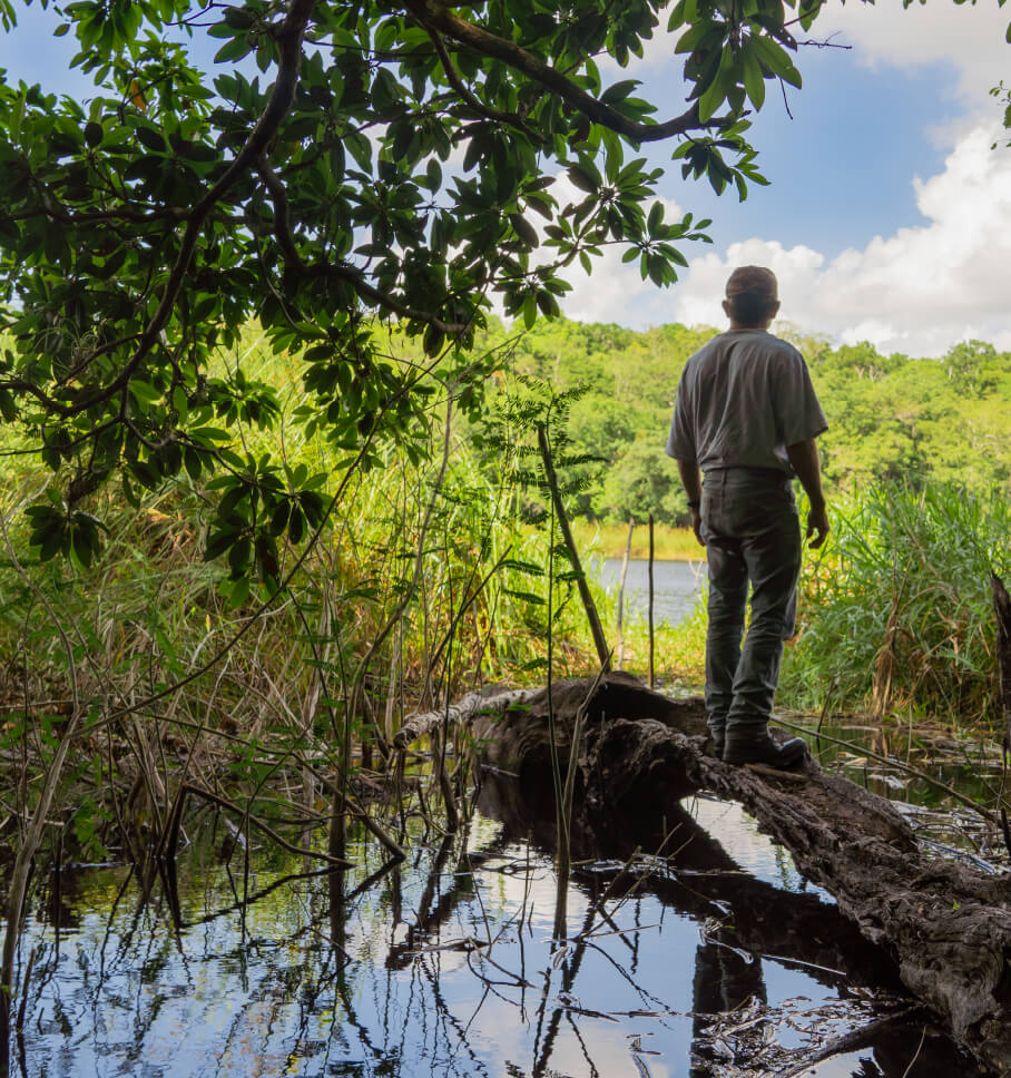 A person faces away from the camera and observes a marshlike waterway from atop a fallen log.