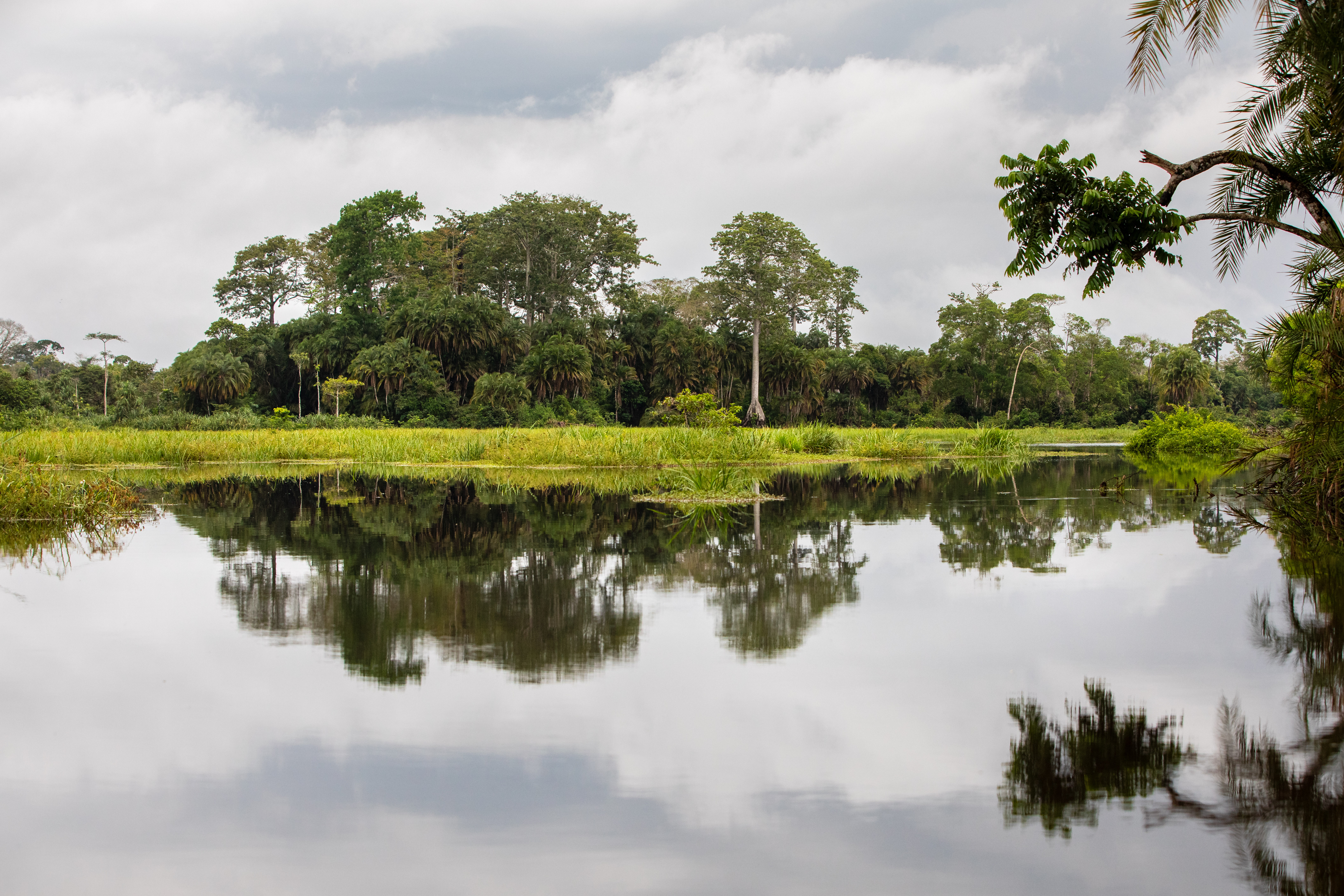 Forest Republic of Congo