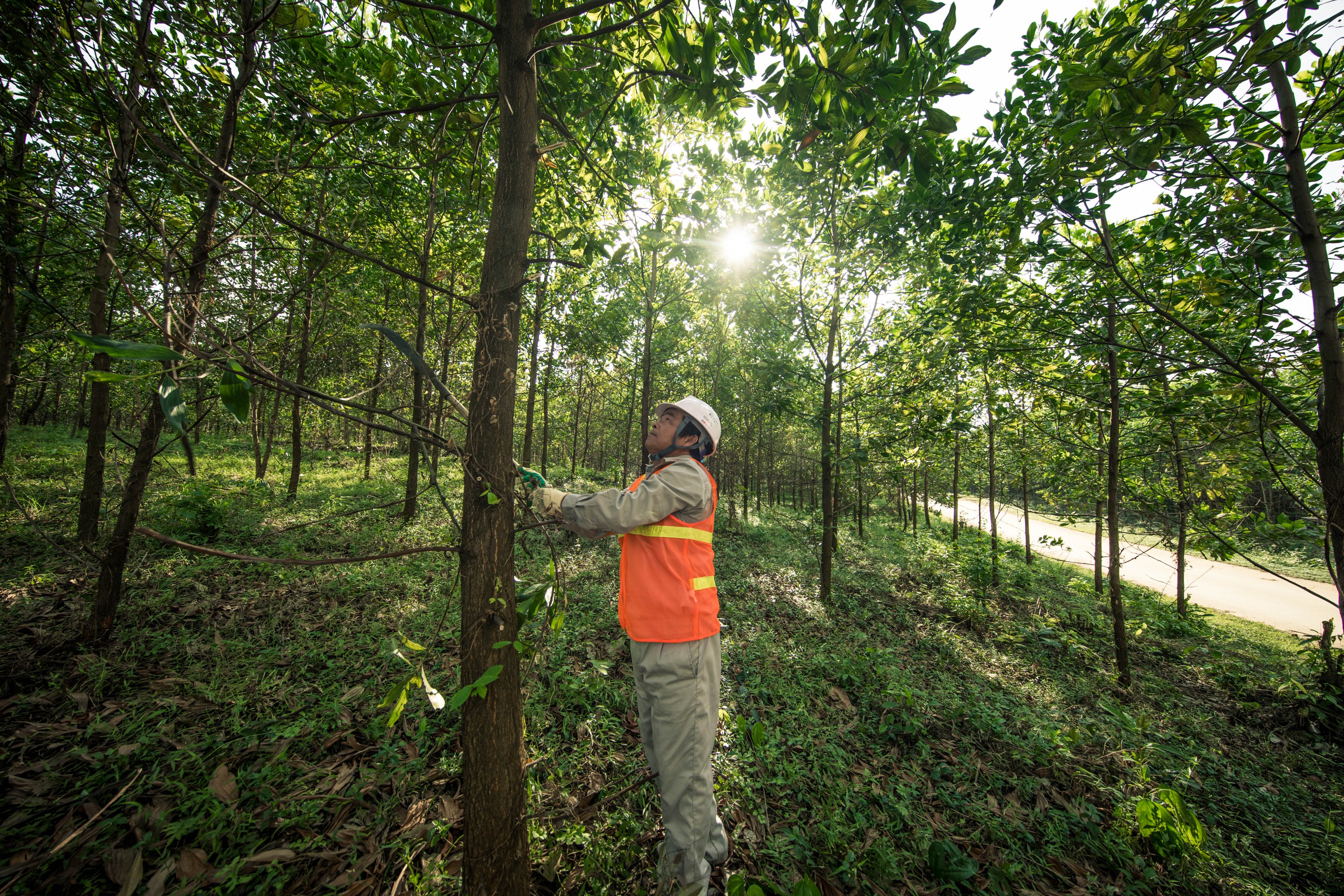 Worker with orange vest