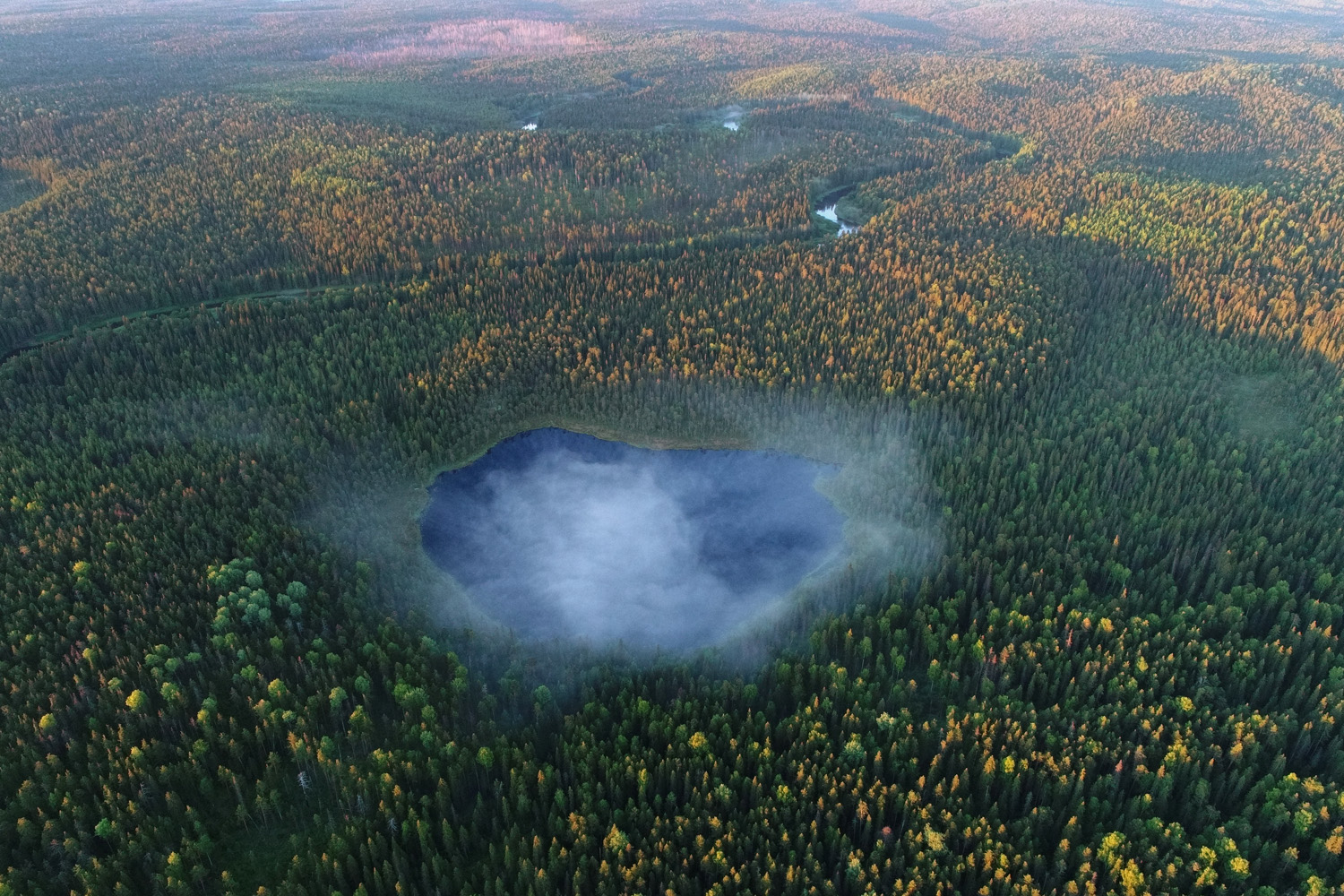 russia forest and lake from above