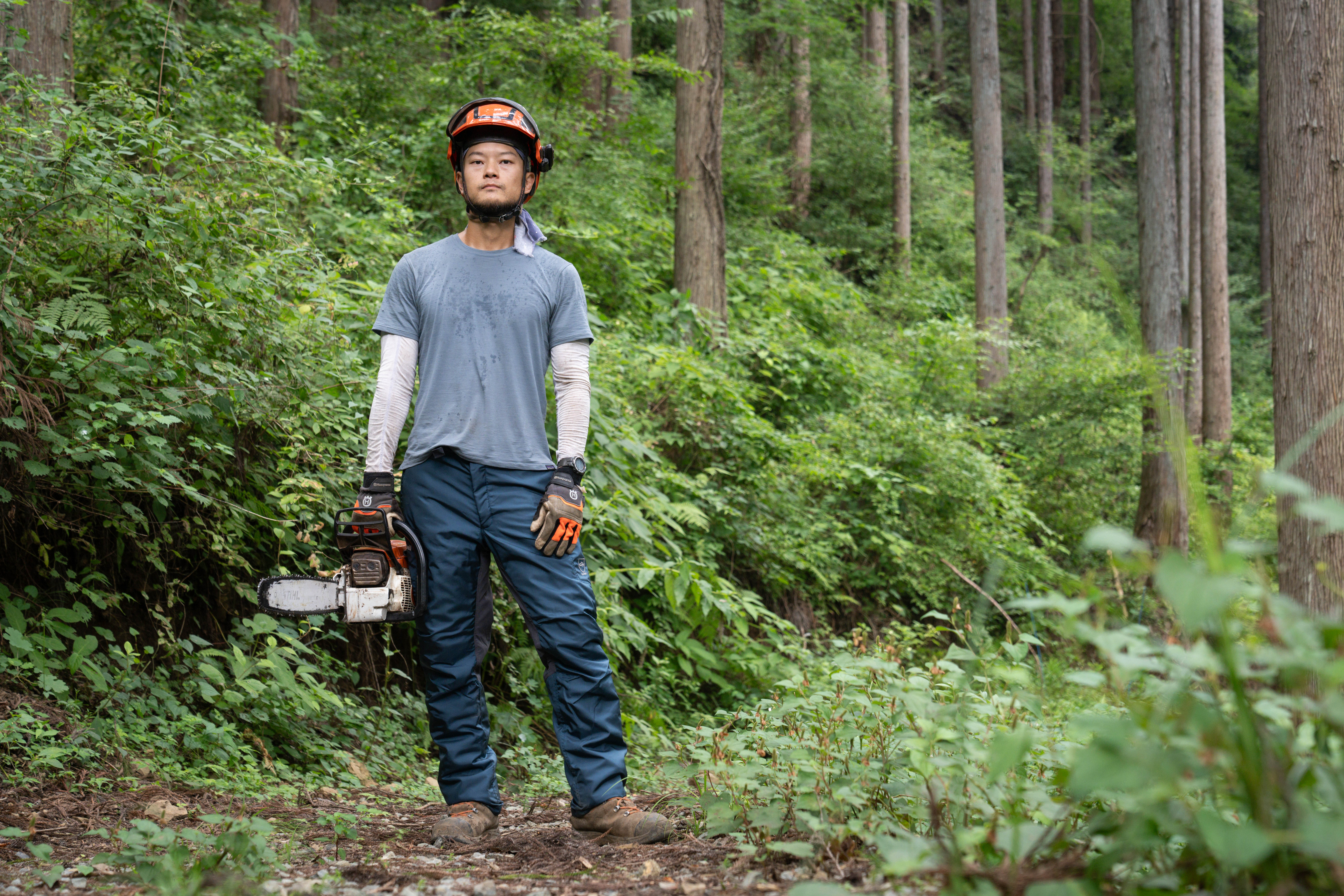 japanese forester