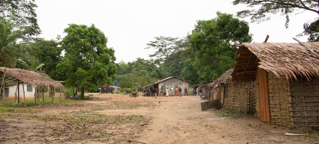 Village in Congo Basin
