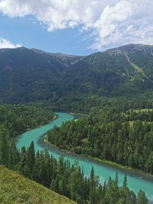 Forest landscape in Kanesi, Xinjiang, China.