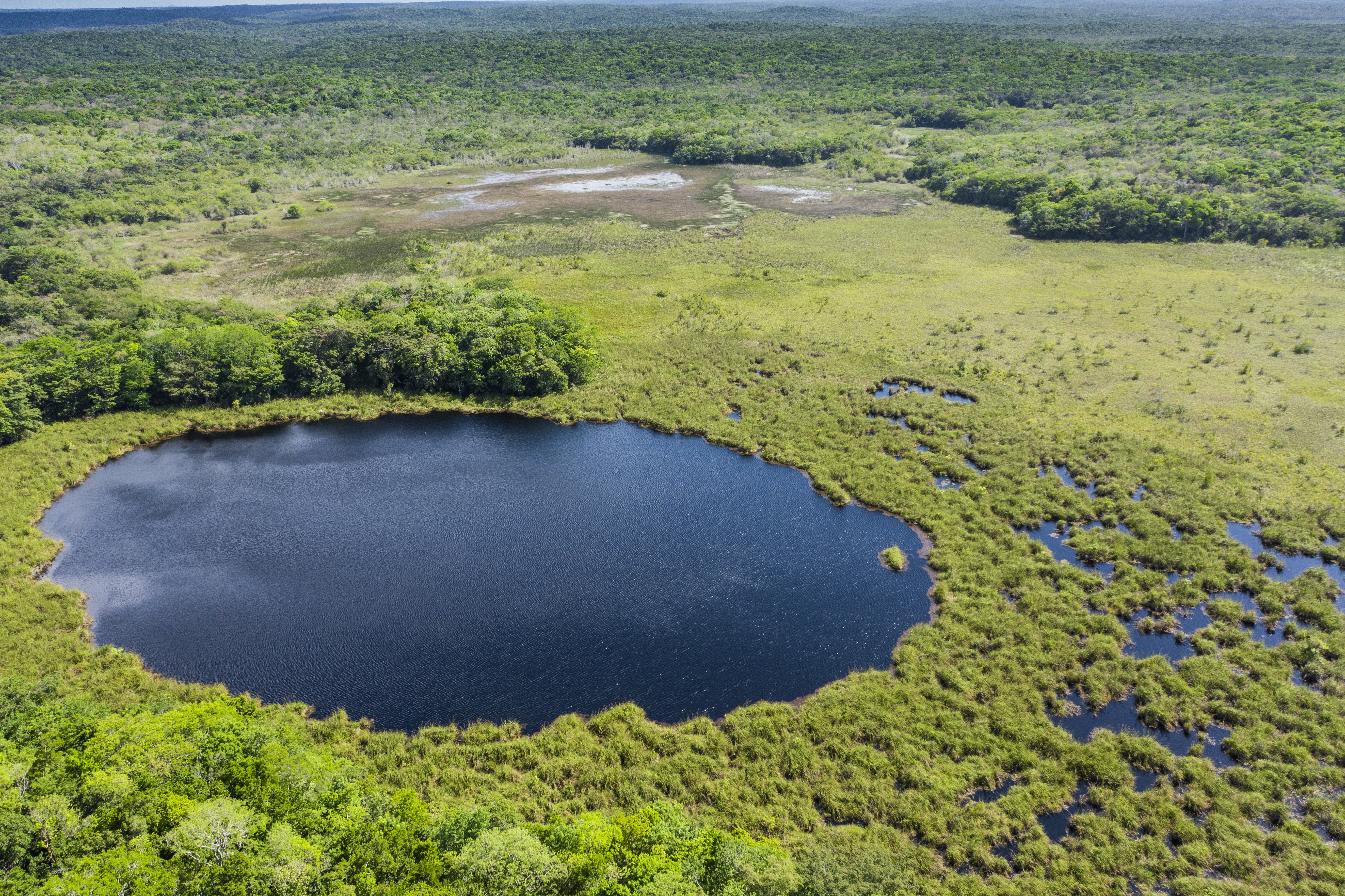 lake in mexican forest drone image