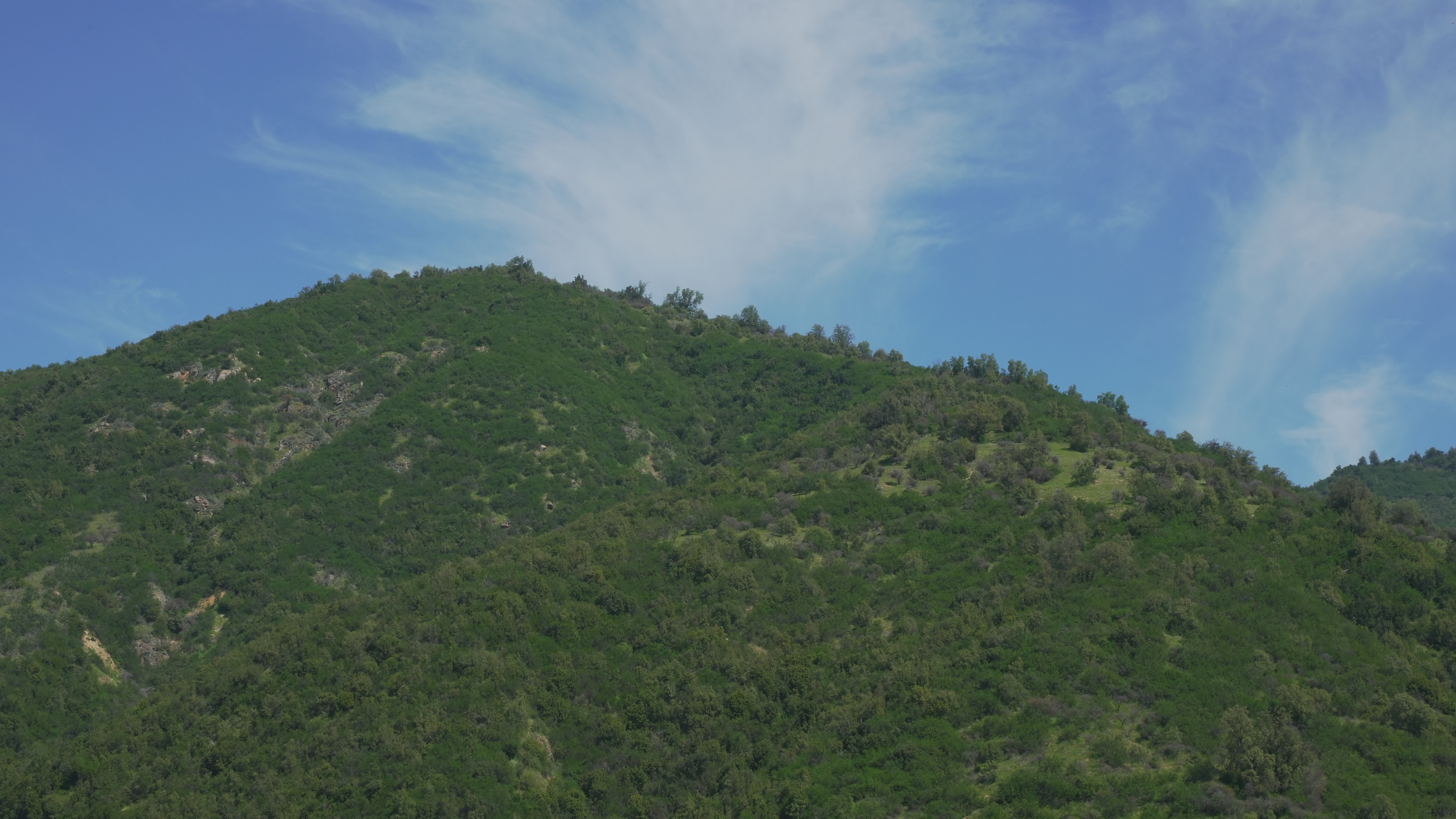 Chile ecosystem services