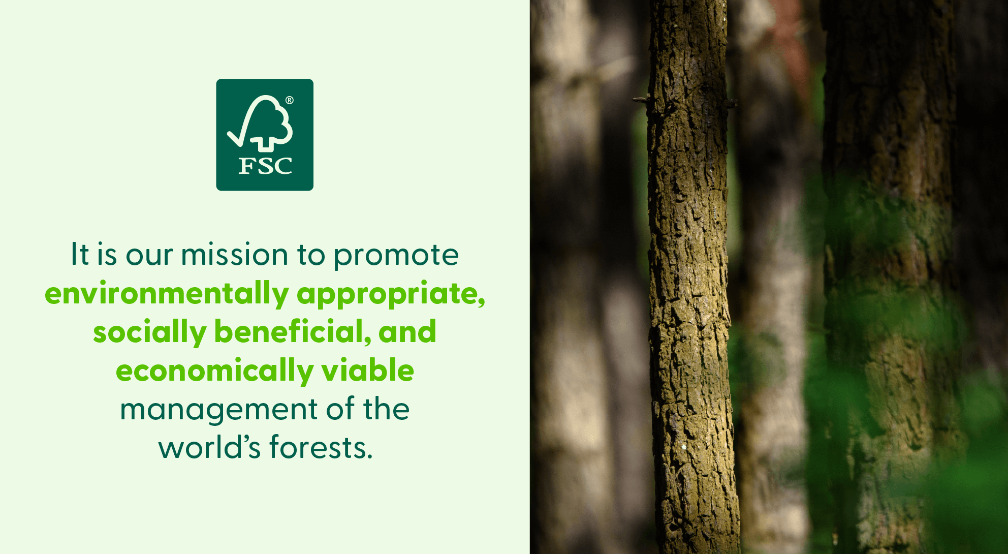 A photo of trees in a forest accompany FSC's mission statement. 