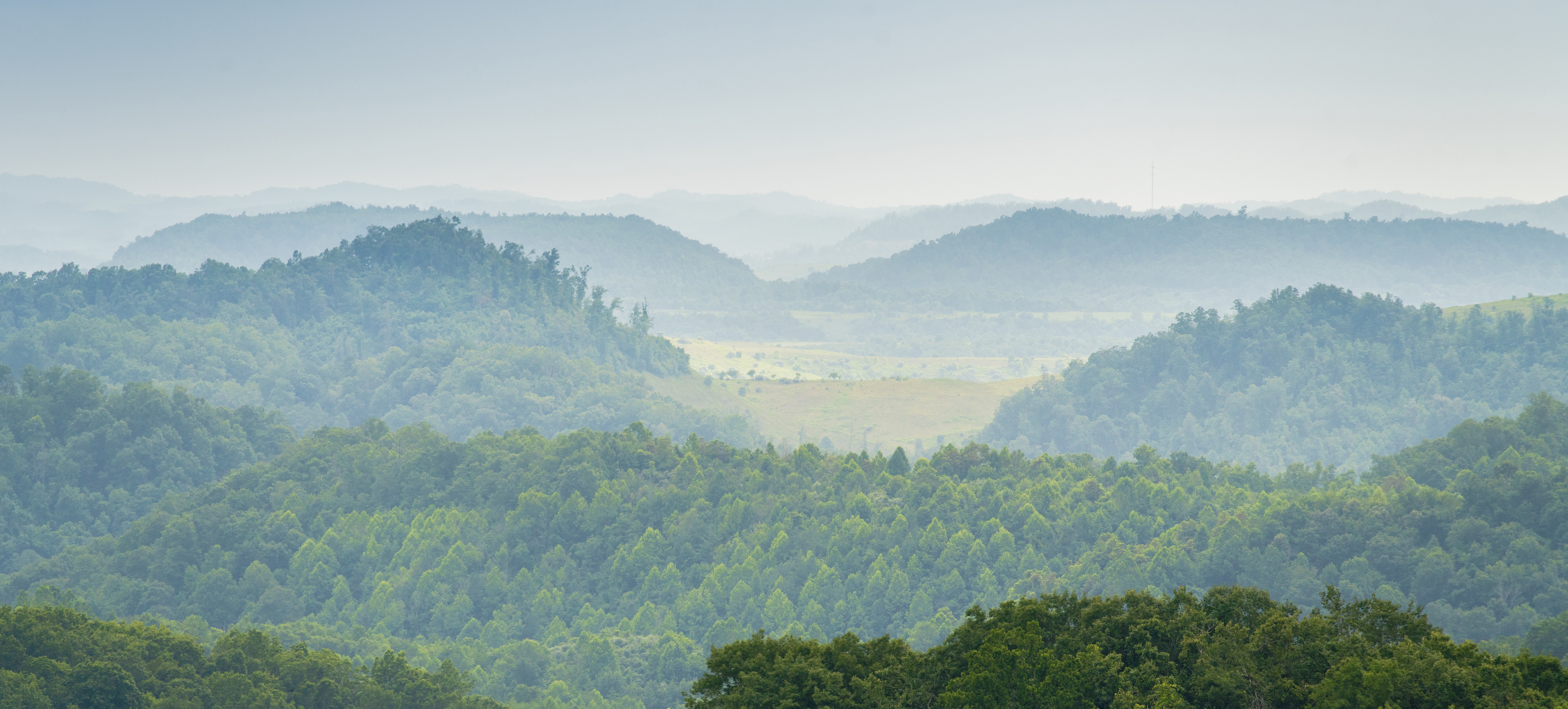 wide angle view of Appalachian mountain forests in Kentucky