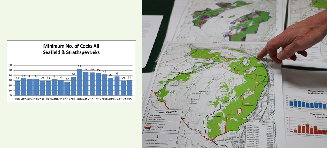 Graph and photo of maps showing Capercaillie leks over time
