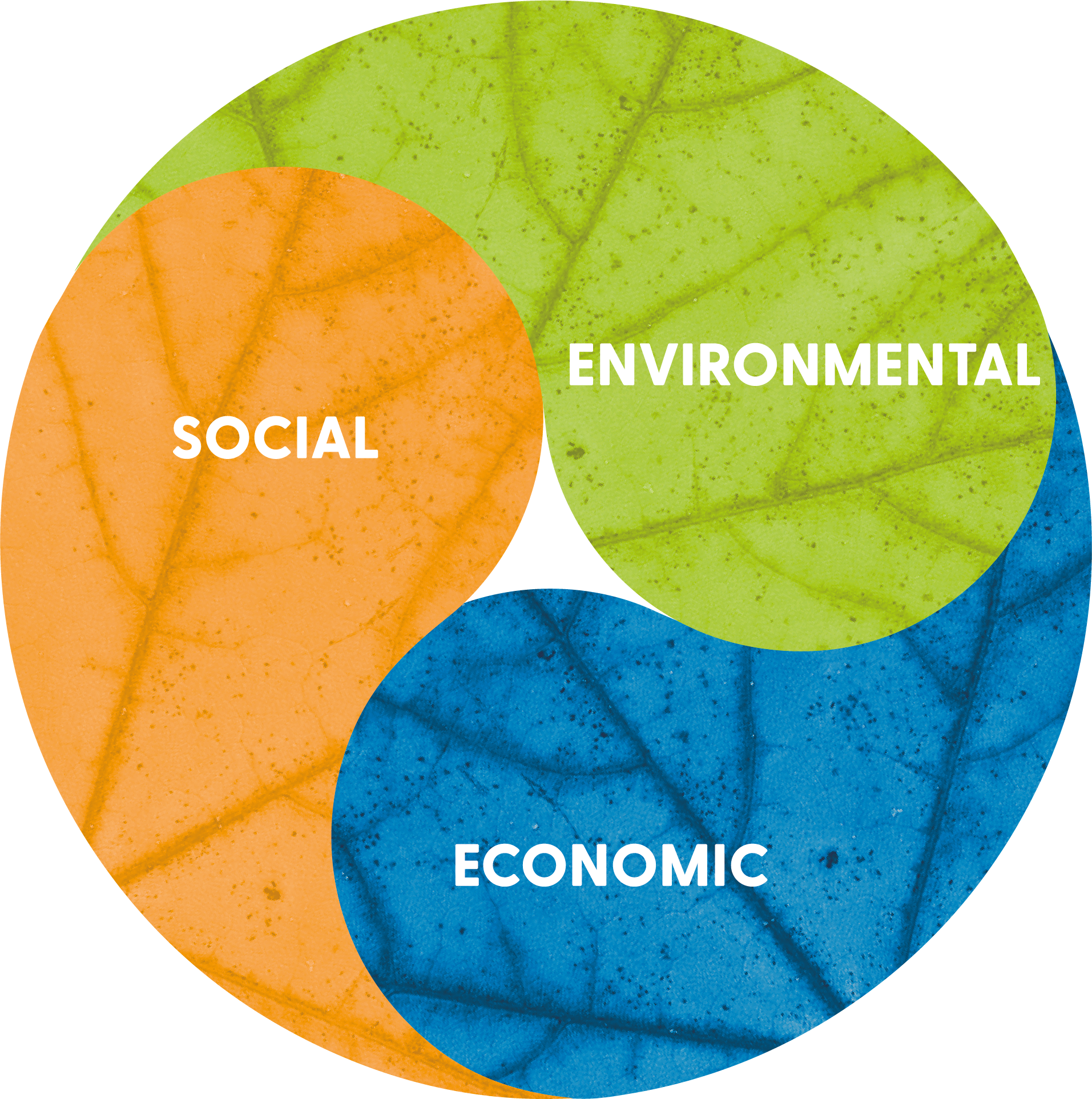 Graph showing three sectors; Social, Environmental and Economic