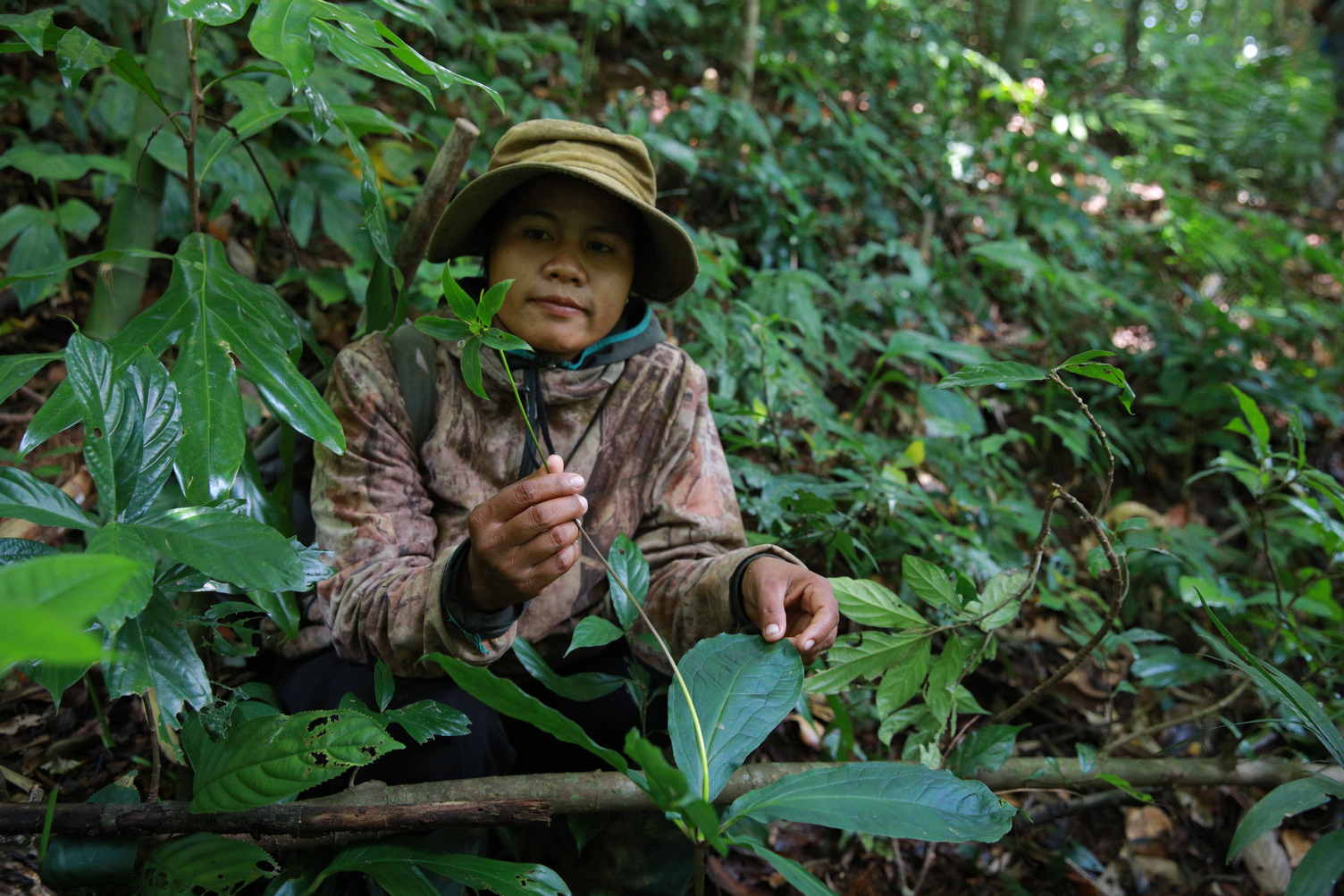 Vietnam_Forest_Smallholders