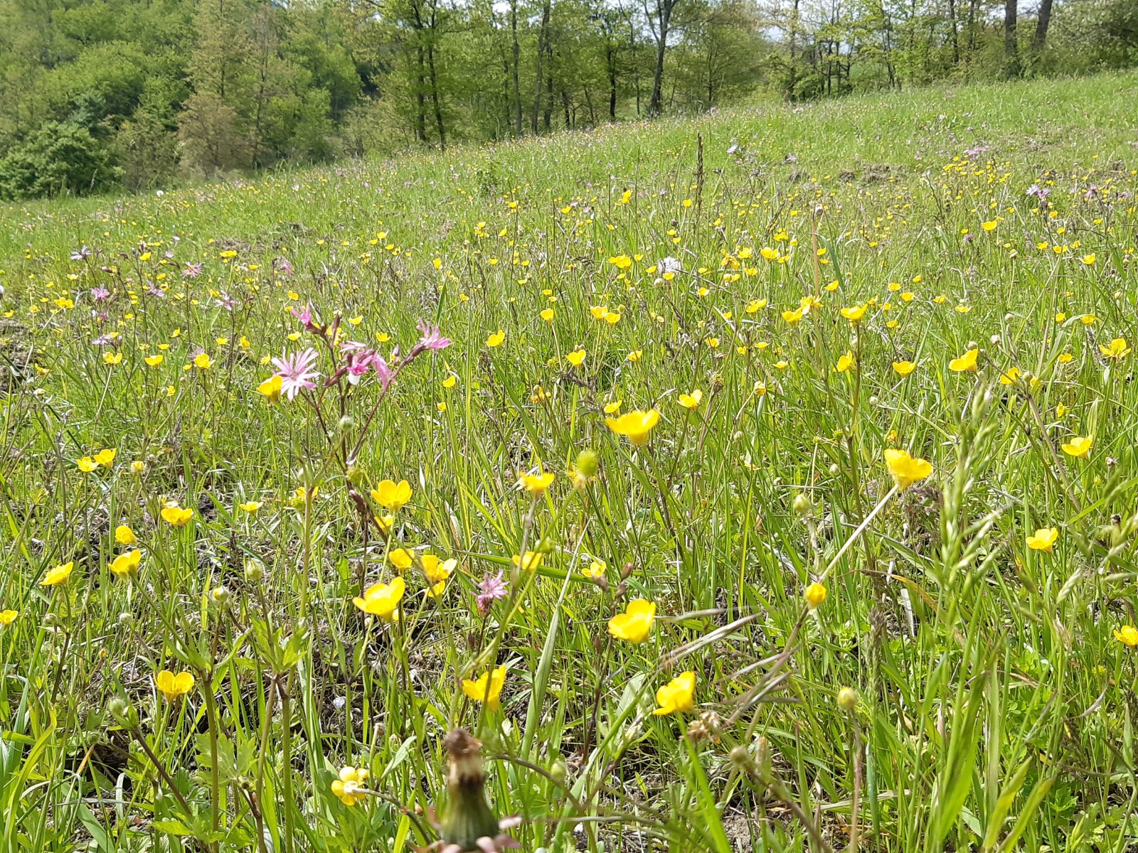 Parco Nazionale Appennino Tosco-Emiliano