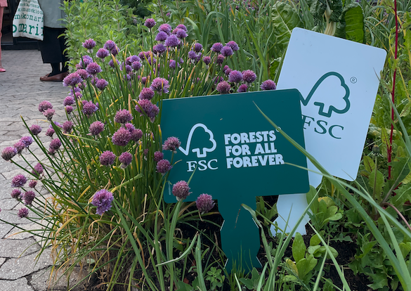 FSC logo signposts in flower bed