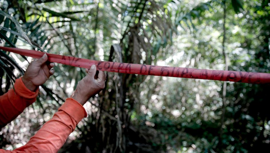 hands of forest worker holding tape marking an HCV