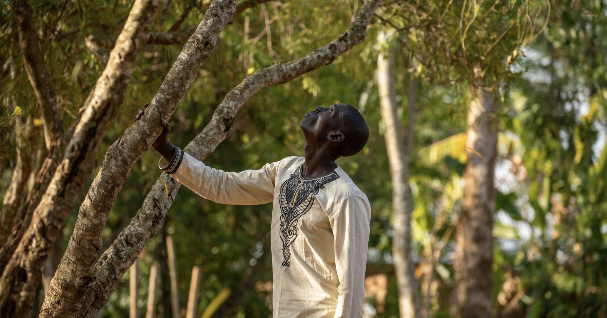 Ugandan man looks up at tree whilst holding a branch