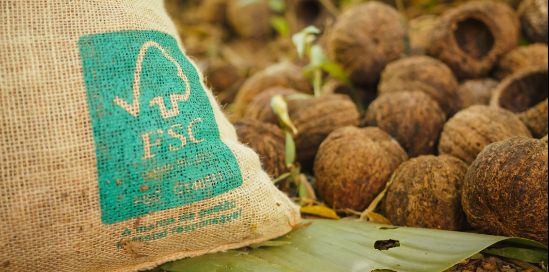 close up view of fsc label on sack of brazil nuts