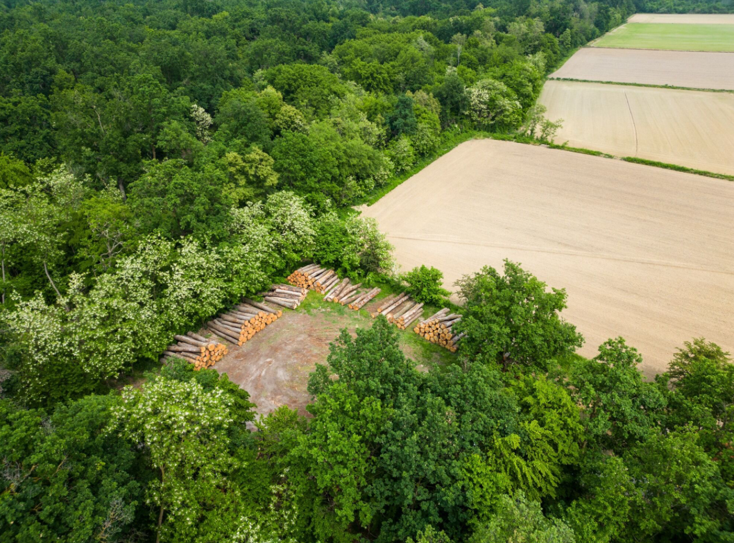 Cultivated fields