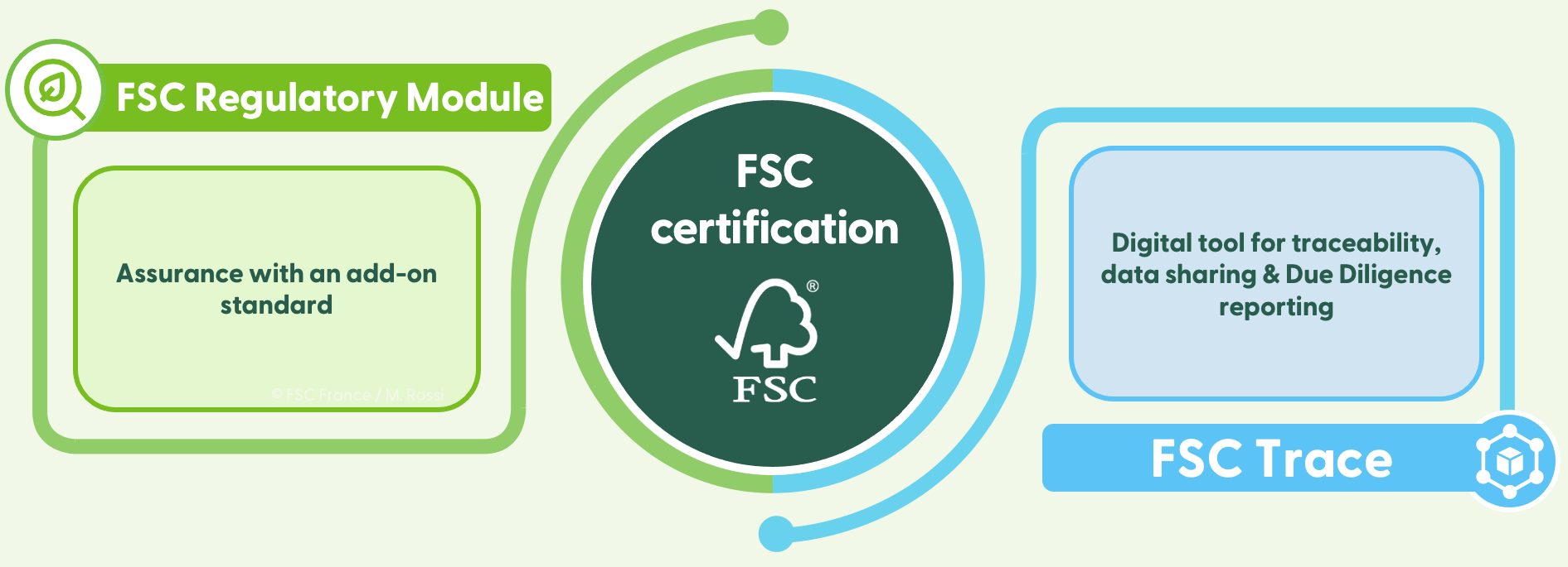 graphic to show elements of FSC Aligned for EUDR