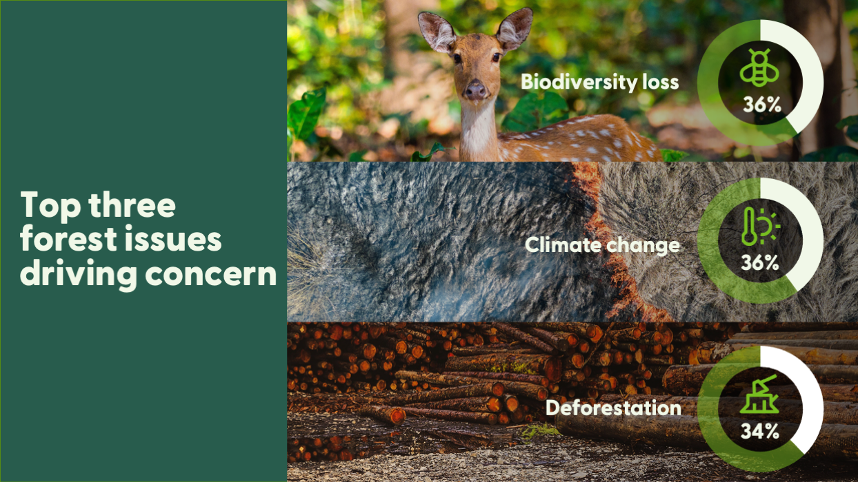 Consumers' Top Forestry Concern Worldwide