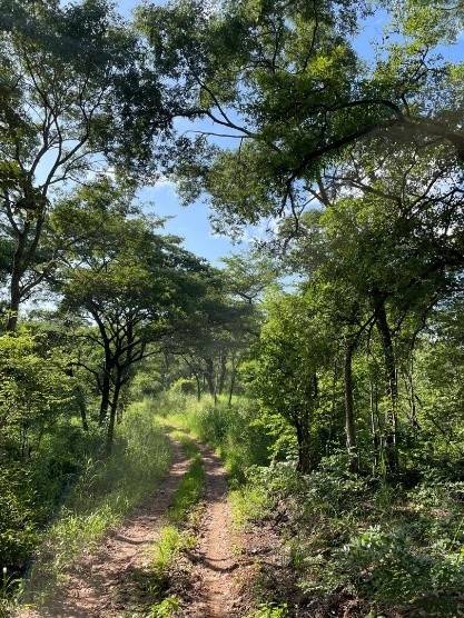 Zambia