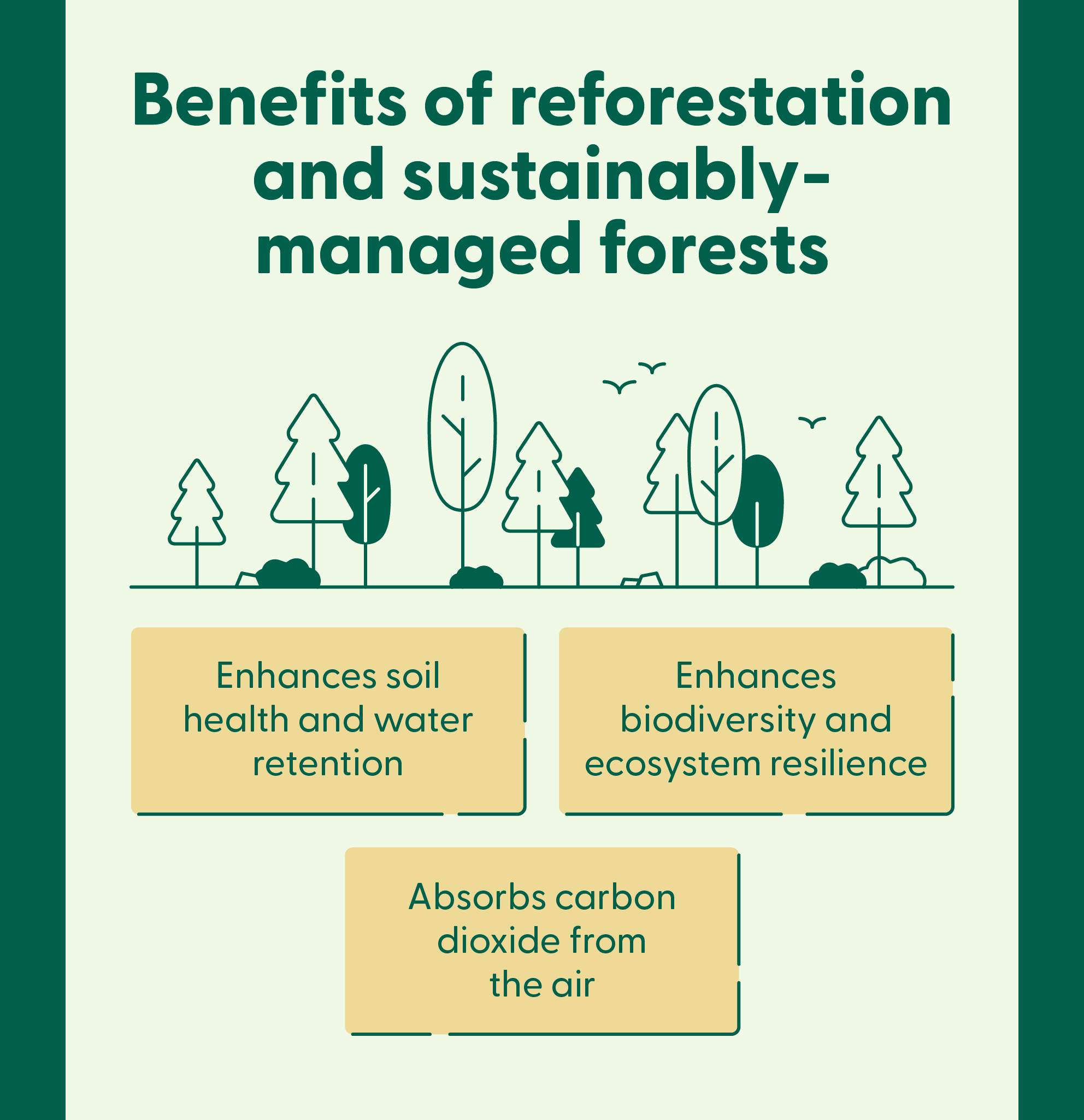 Illustrated trees accompany 3 benefits of reforestation and sustainably managed forests for climate change.