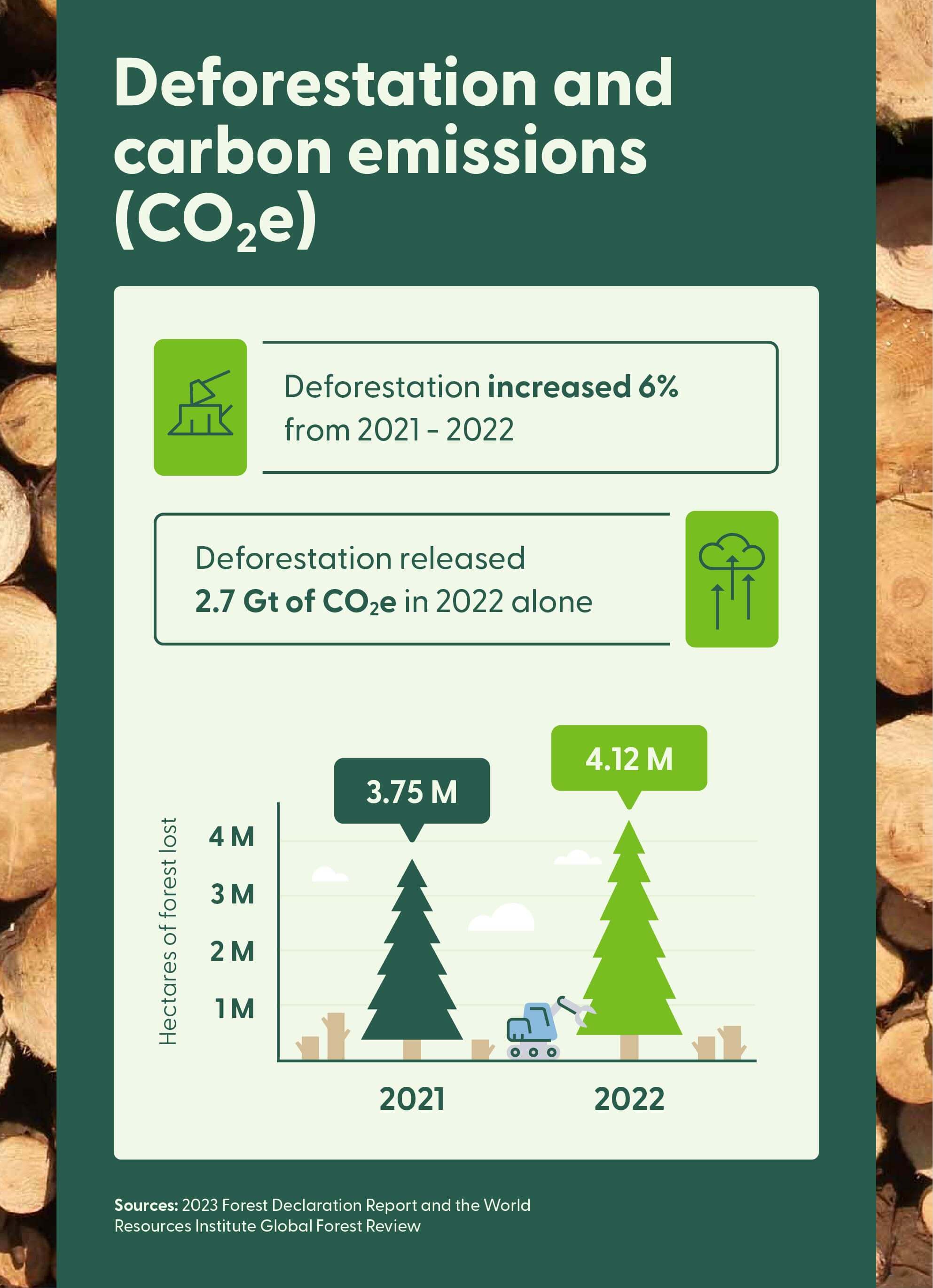 A graphic outlines the connection between deforestation and CO2 emissions in 2021 and 2022.