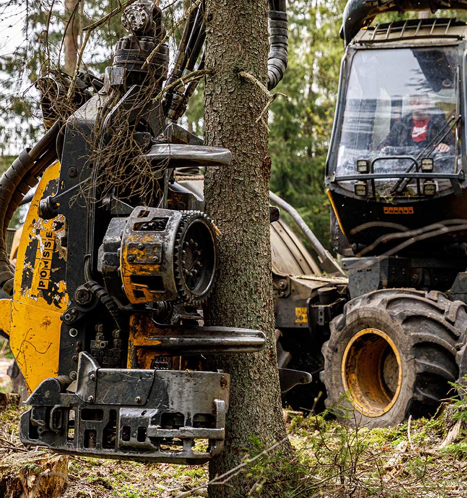 An image showing deforestation.