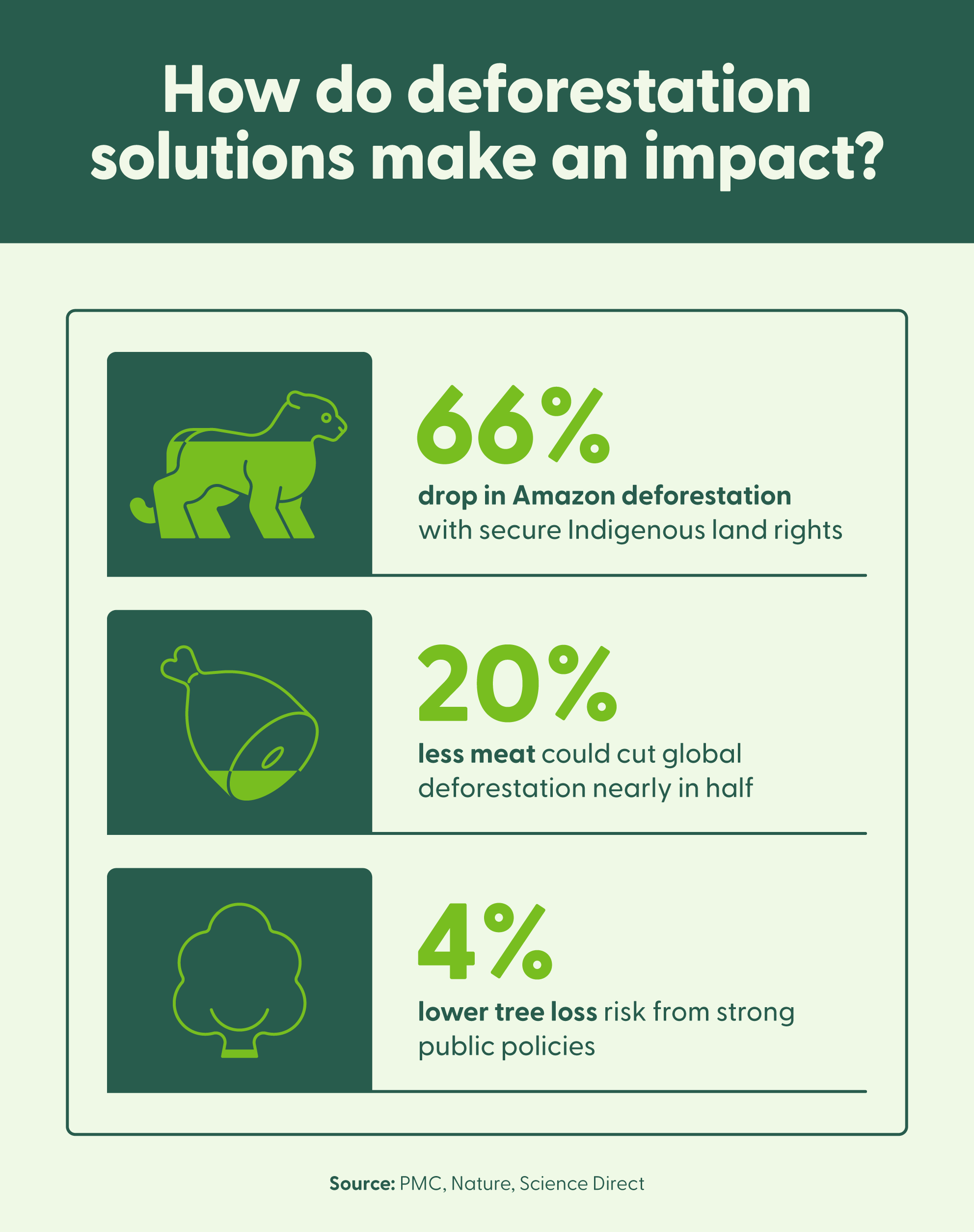 An image highlighting the impact of deforestation solutions.