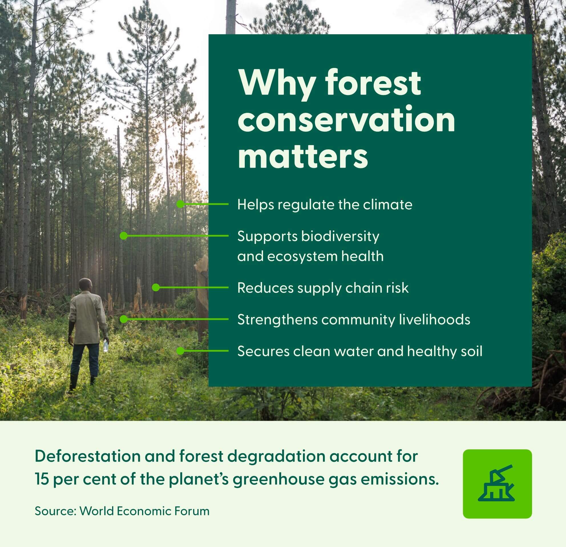 n image showing six benefits of forest conservation.