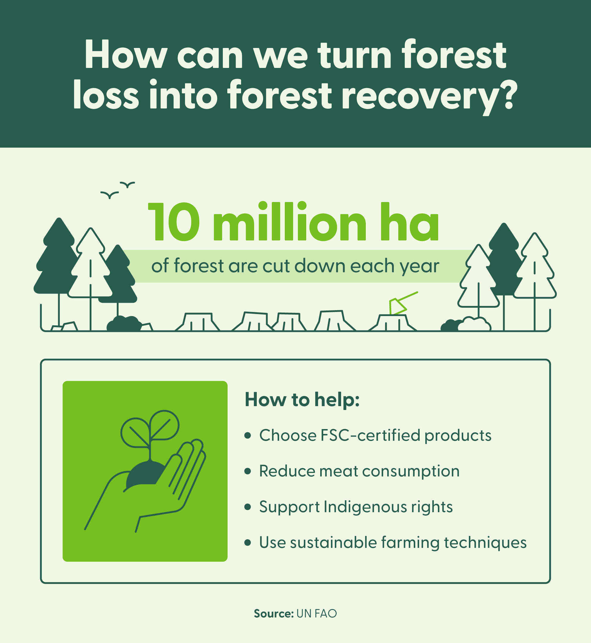 An image representing forest loss and the actions individuals and businesses can take to combat it.
