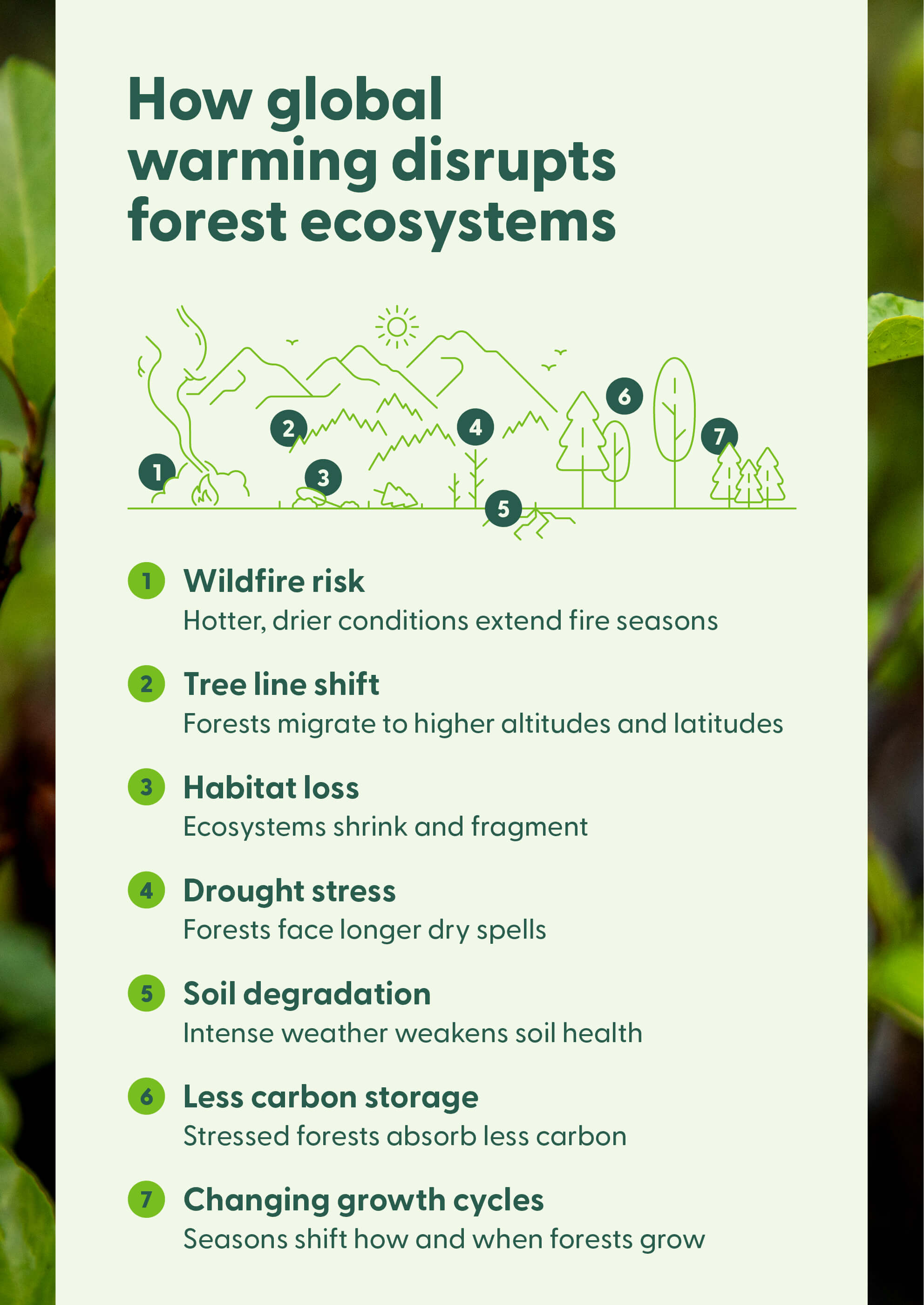 An image showing climate-related ecosystem impacts.