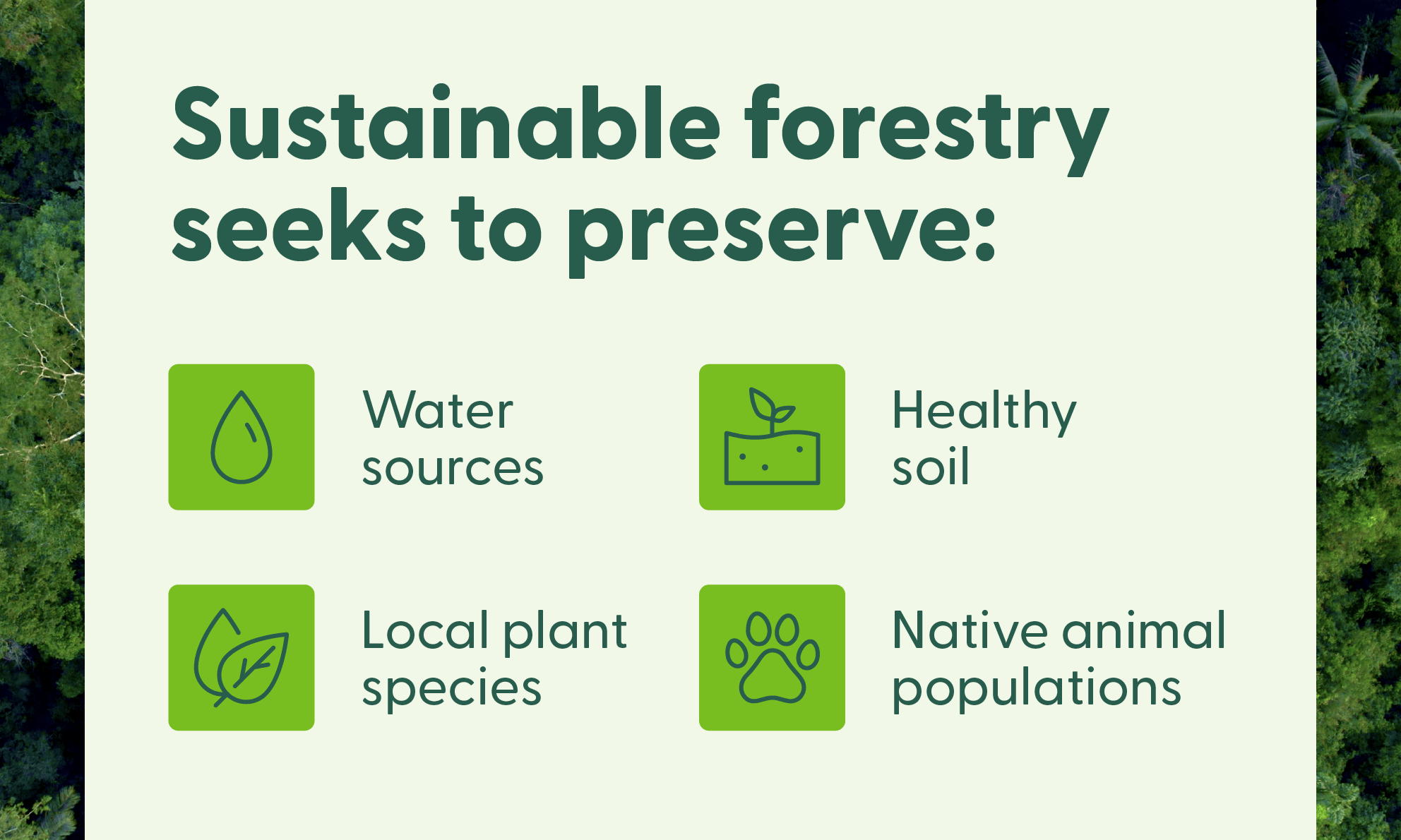 A graphic has a text box with information on about sustainable forestry goals over the top of a forested background.
