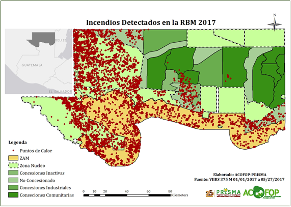 graph showing forest fire incidences in MBR in 2017